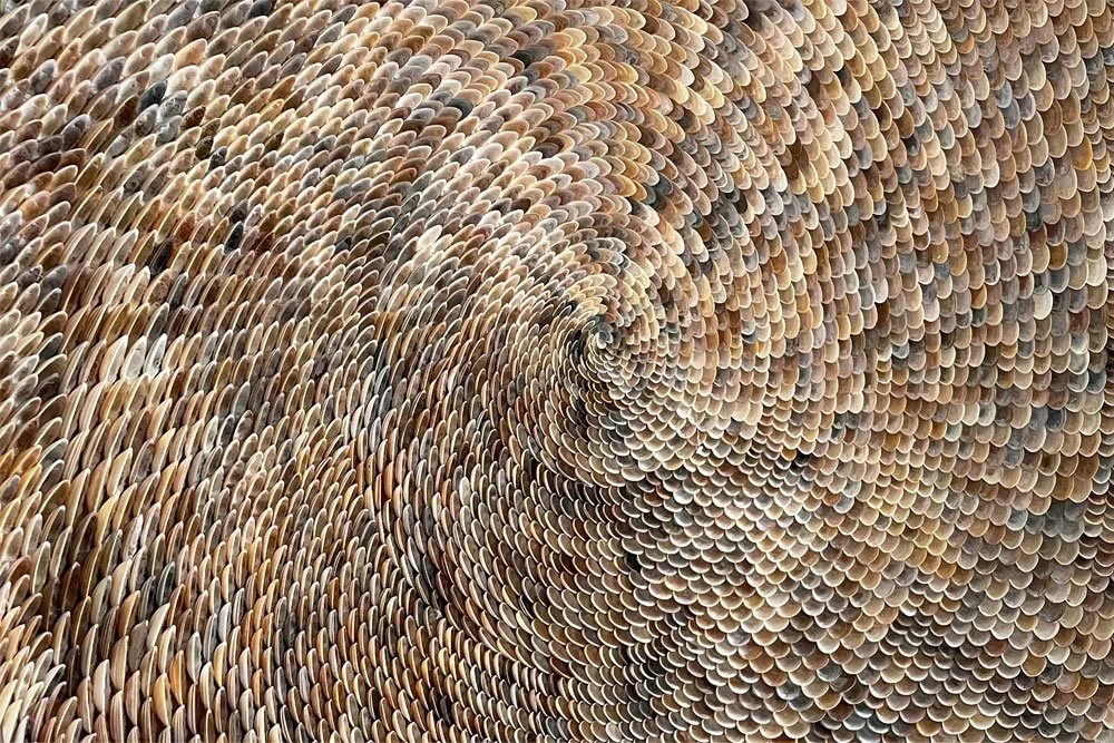Vortex
