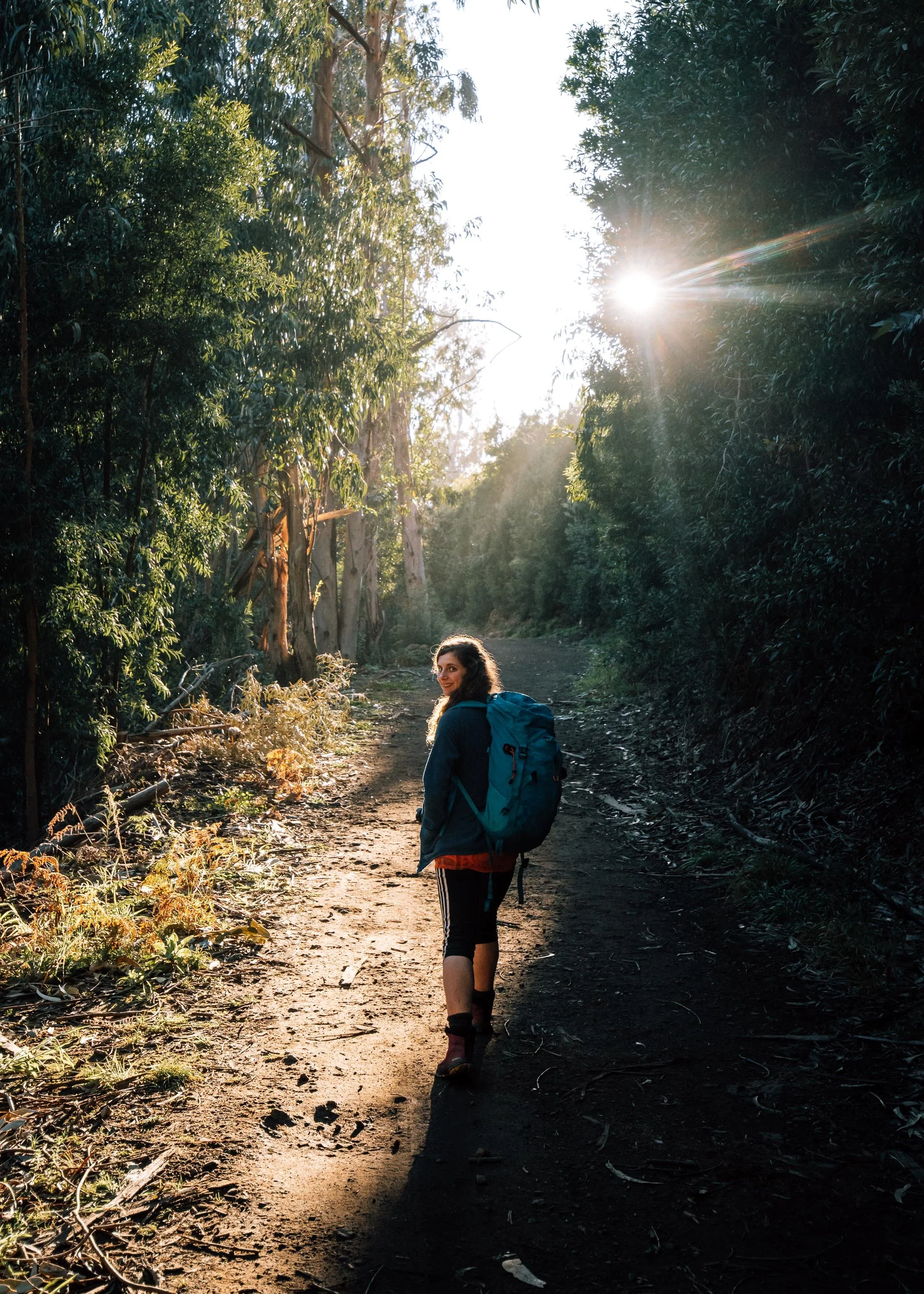  woman walks through the forest on Madeira