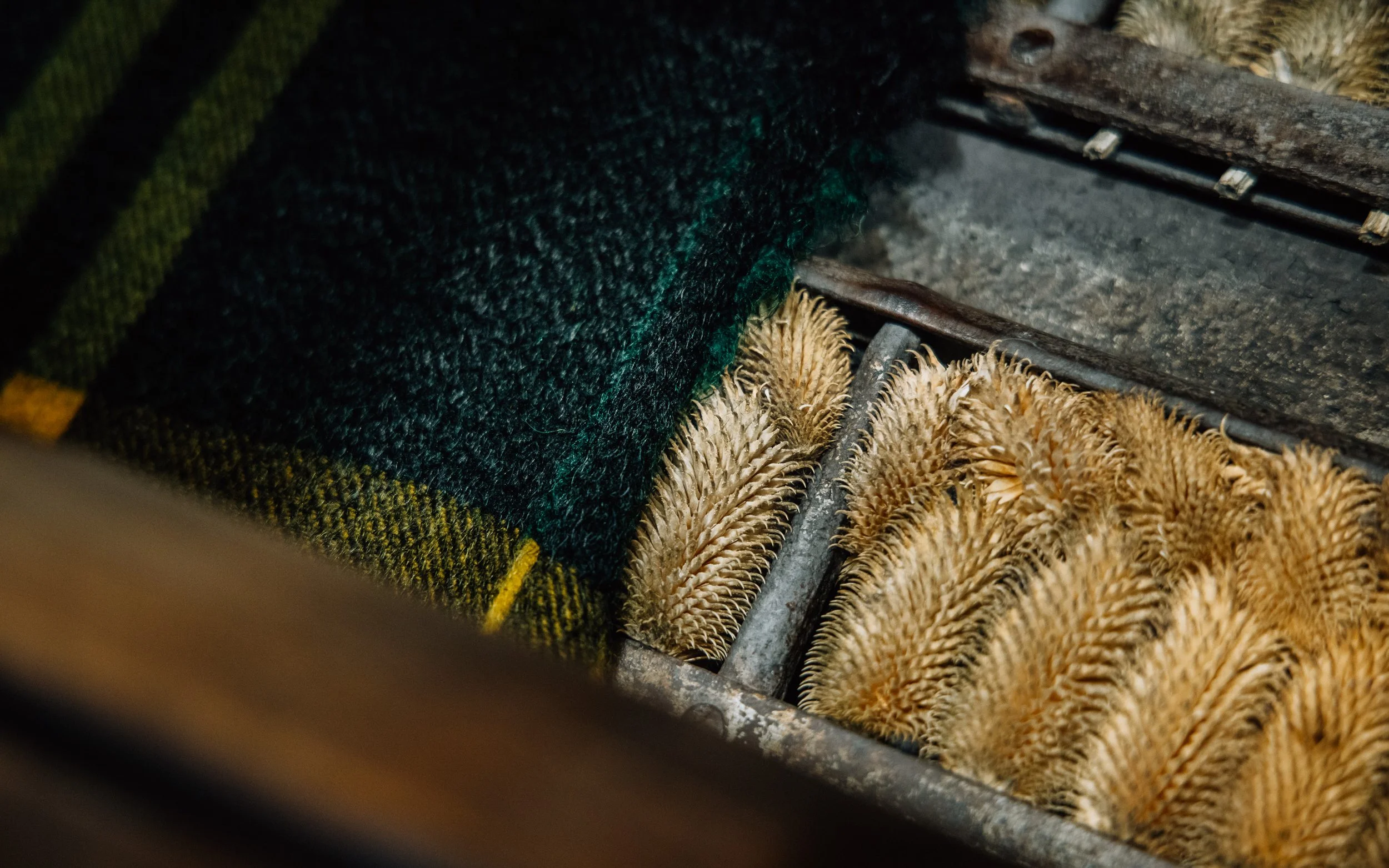 Industry 112A6496.jpg