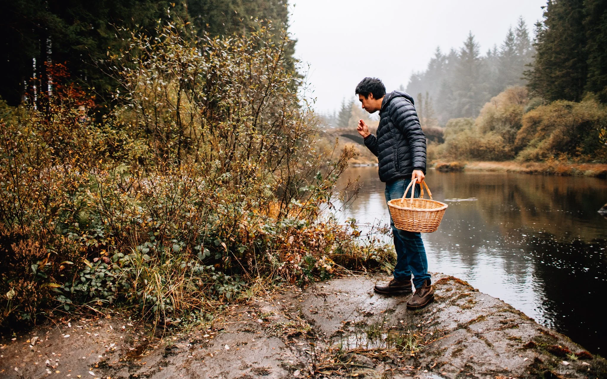  forager picking mushrooms in