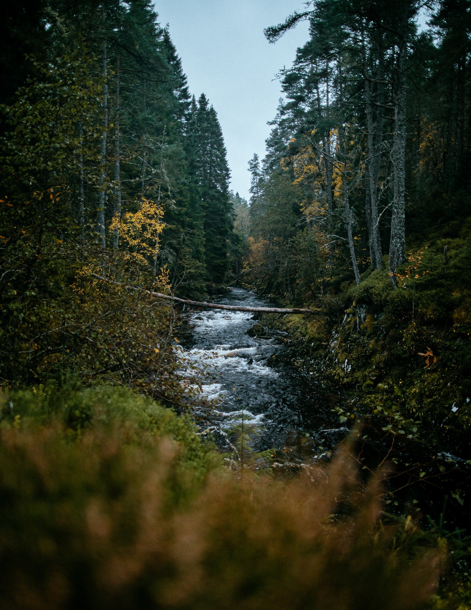 
Pattack Falls, Scotland