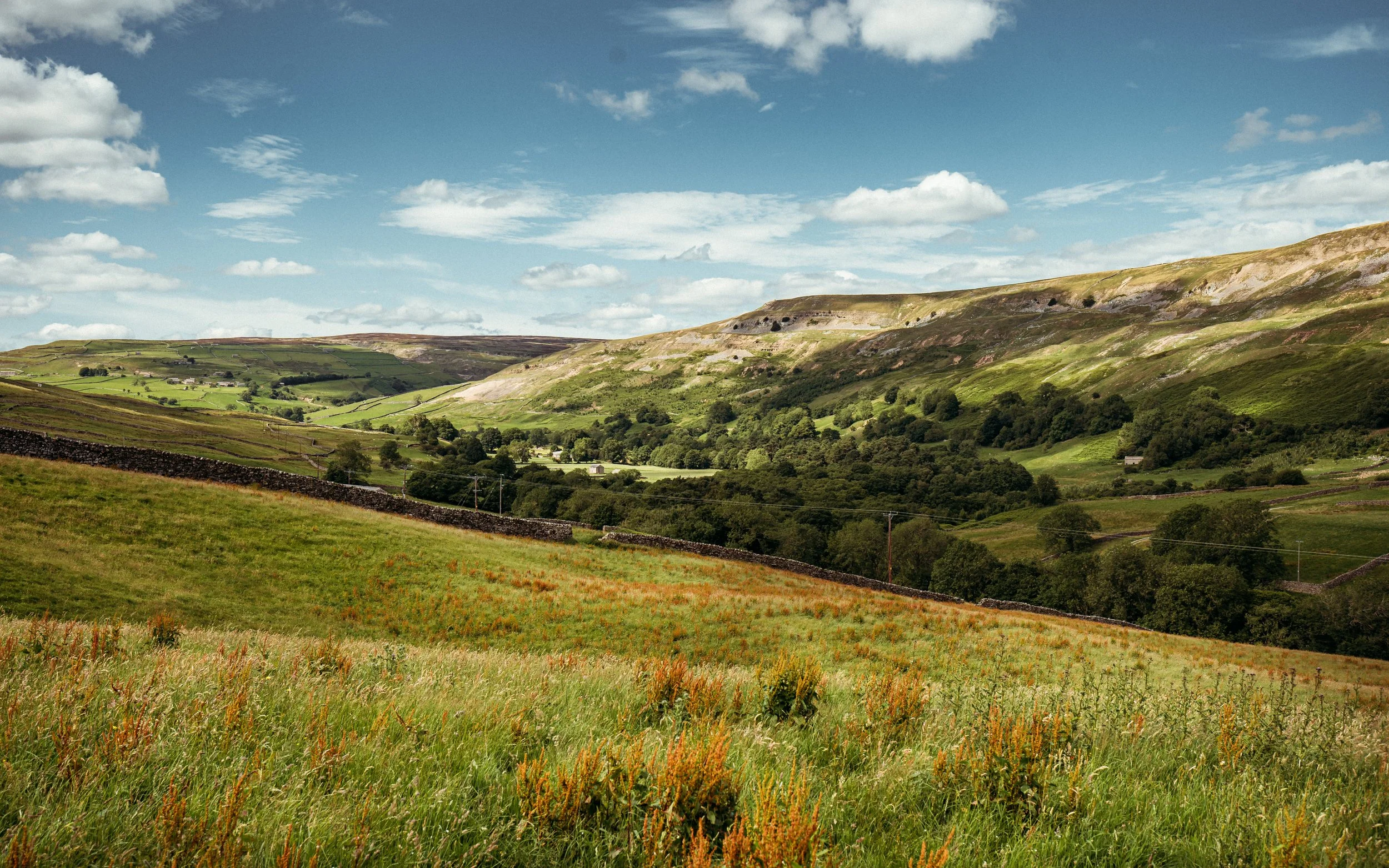  Arkengarth dale, Yorkshire Dales national Park