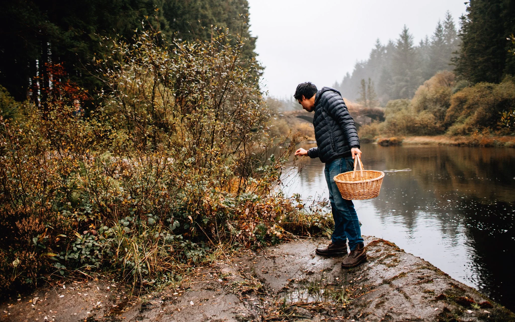 Foraging, foraging, Dumfries and Galloway