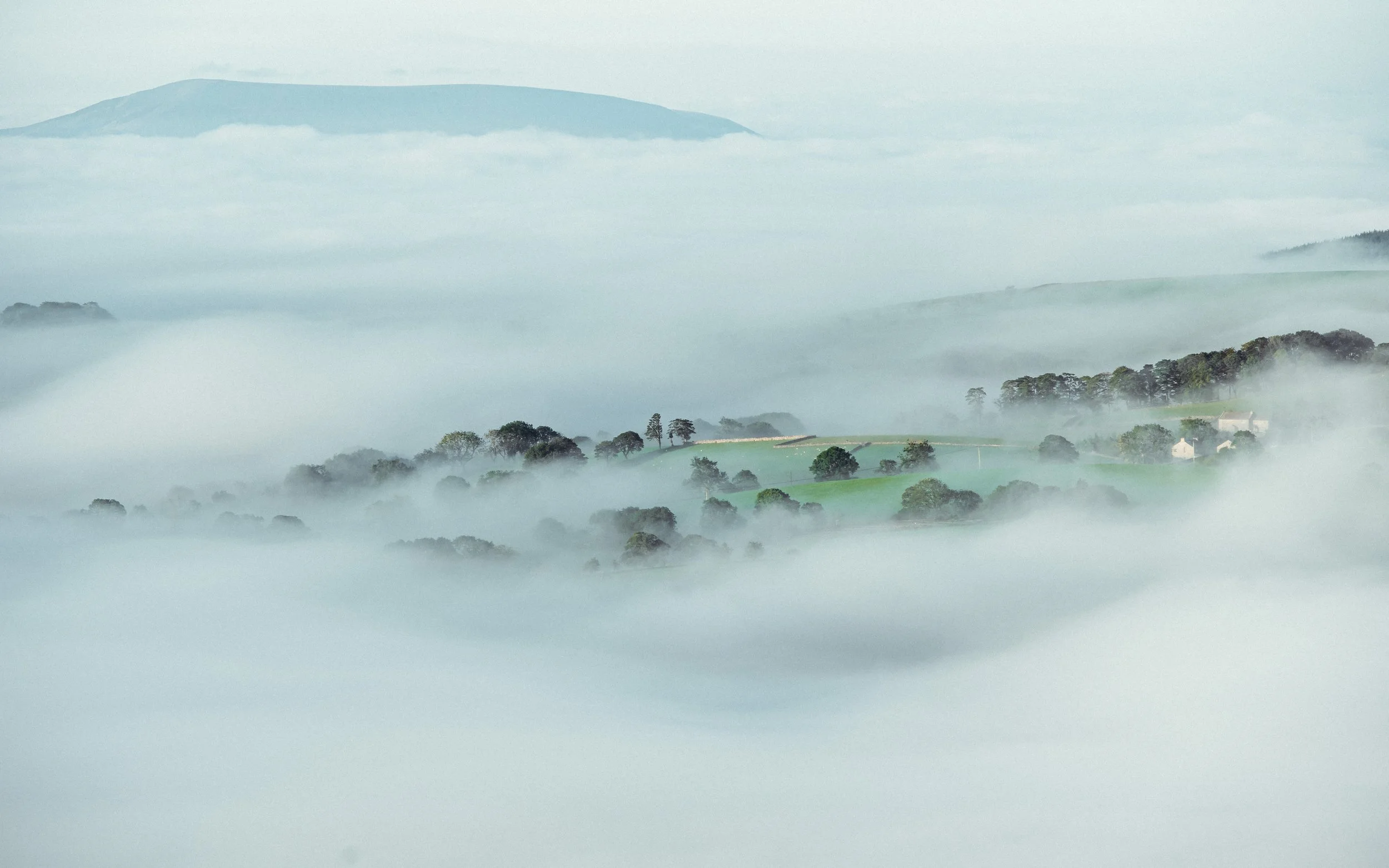  treason fields appear to the mist in the Yorkshire Dales national Park