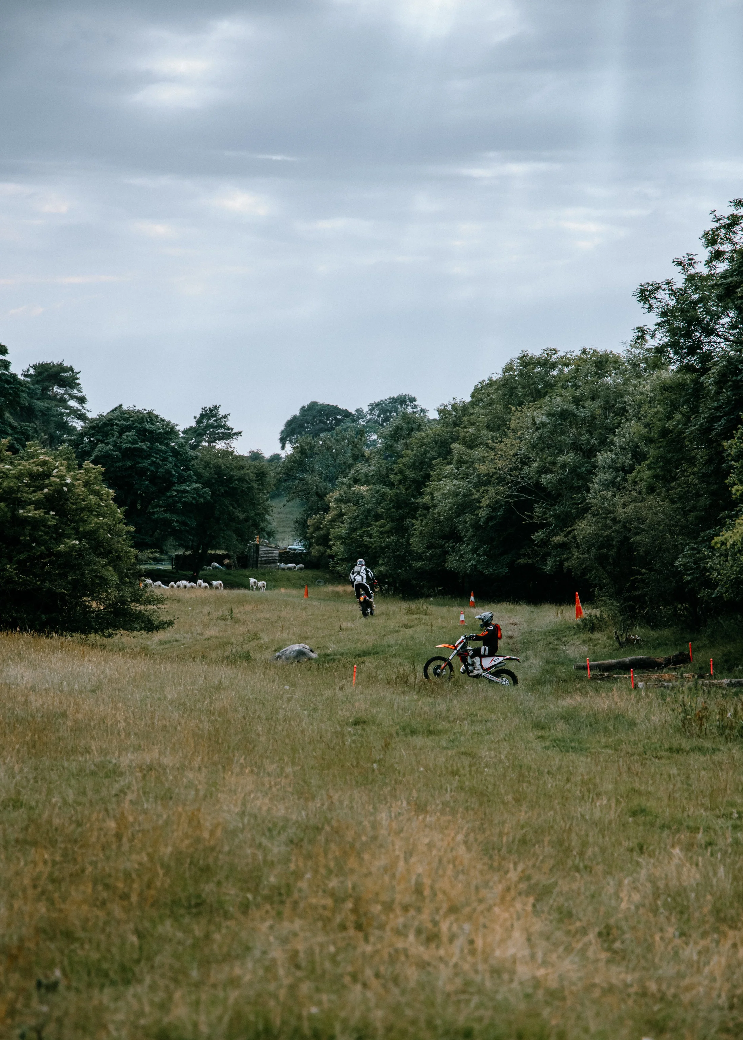 Motocross riders doing jumps