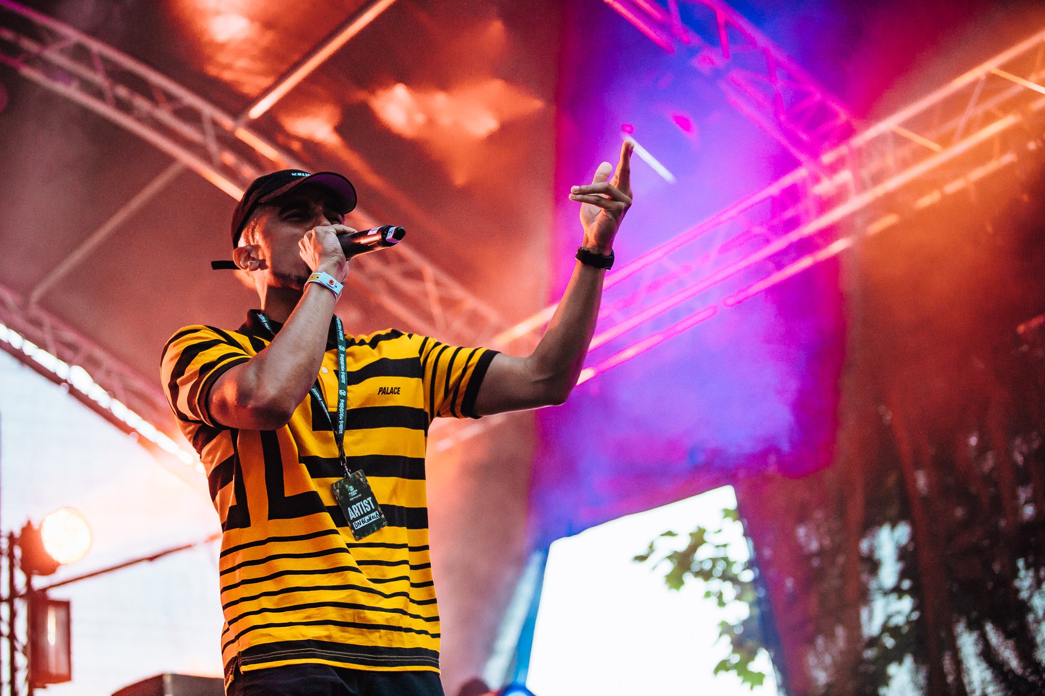  an MC performs forbidden forest music festival