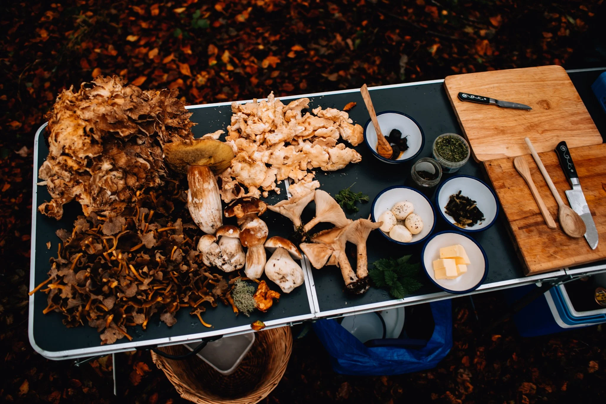  wild mushrooms, picked in forests of Galloway
