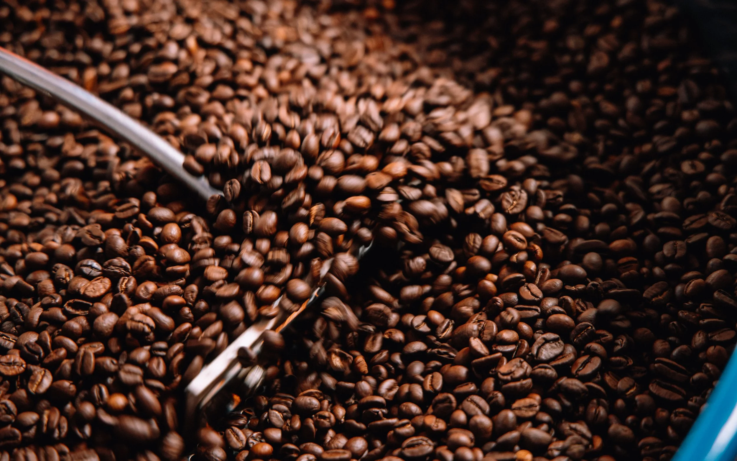  freshly roasted coffee, beans