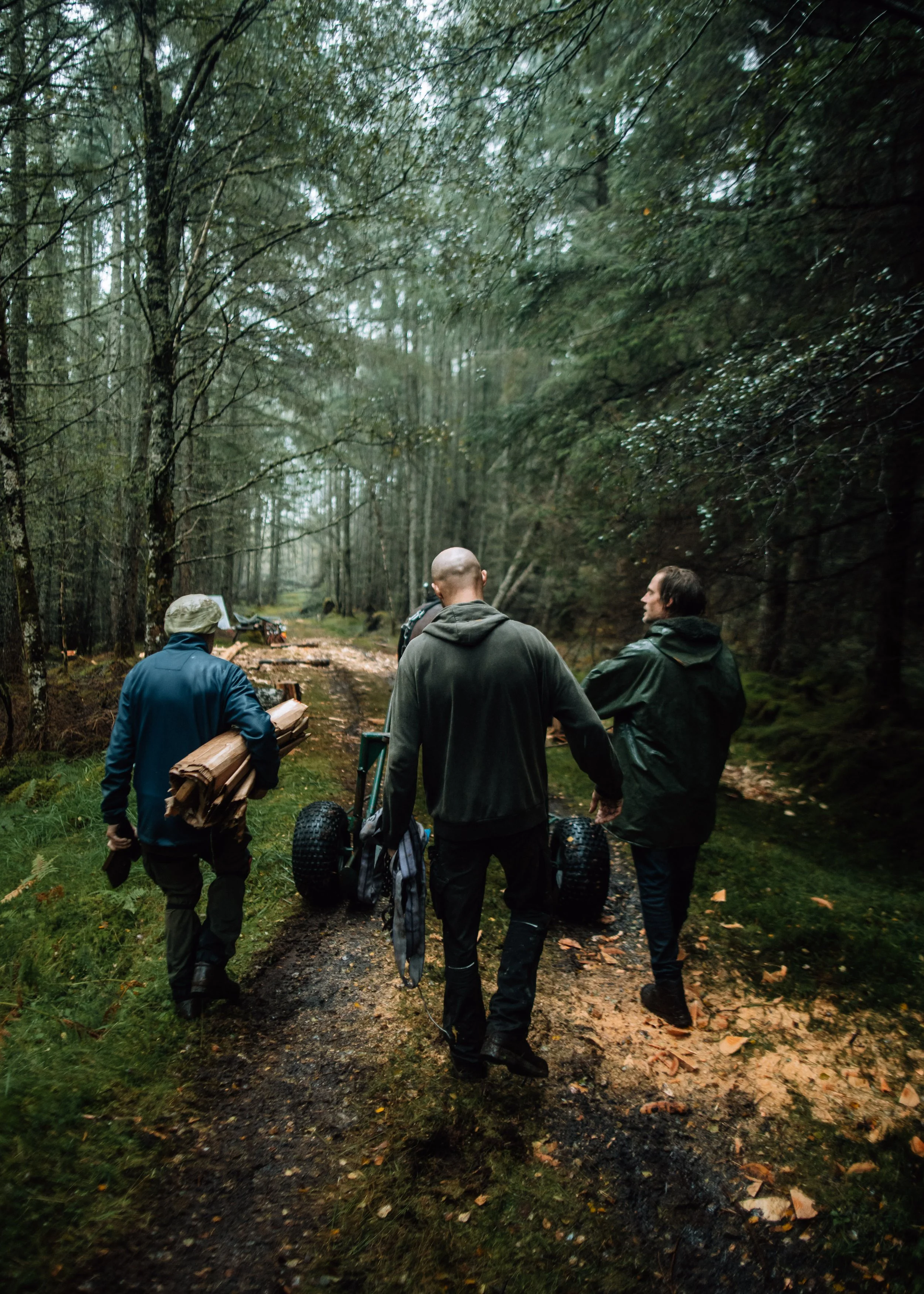  horse, logging workers, Scotland