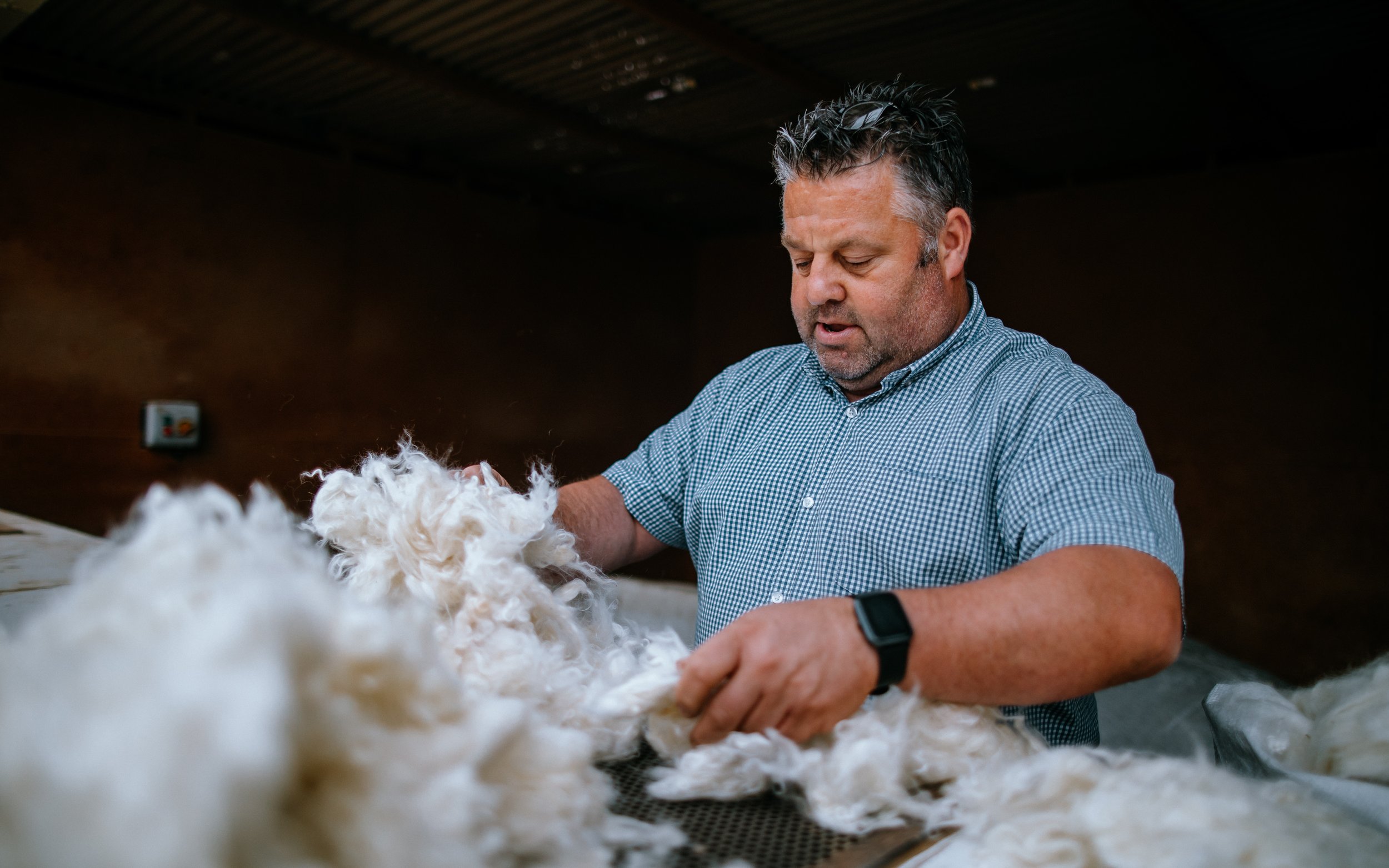 Sorting Kashmir fibres that lady well Mills Bradford