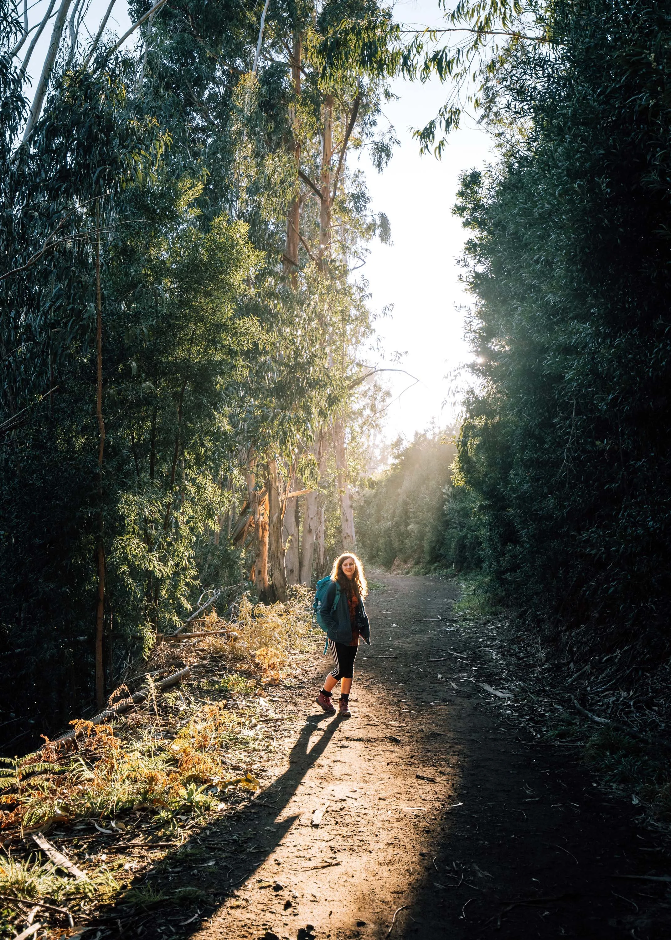  woman walks through the forest on Madeira