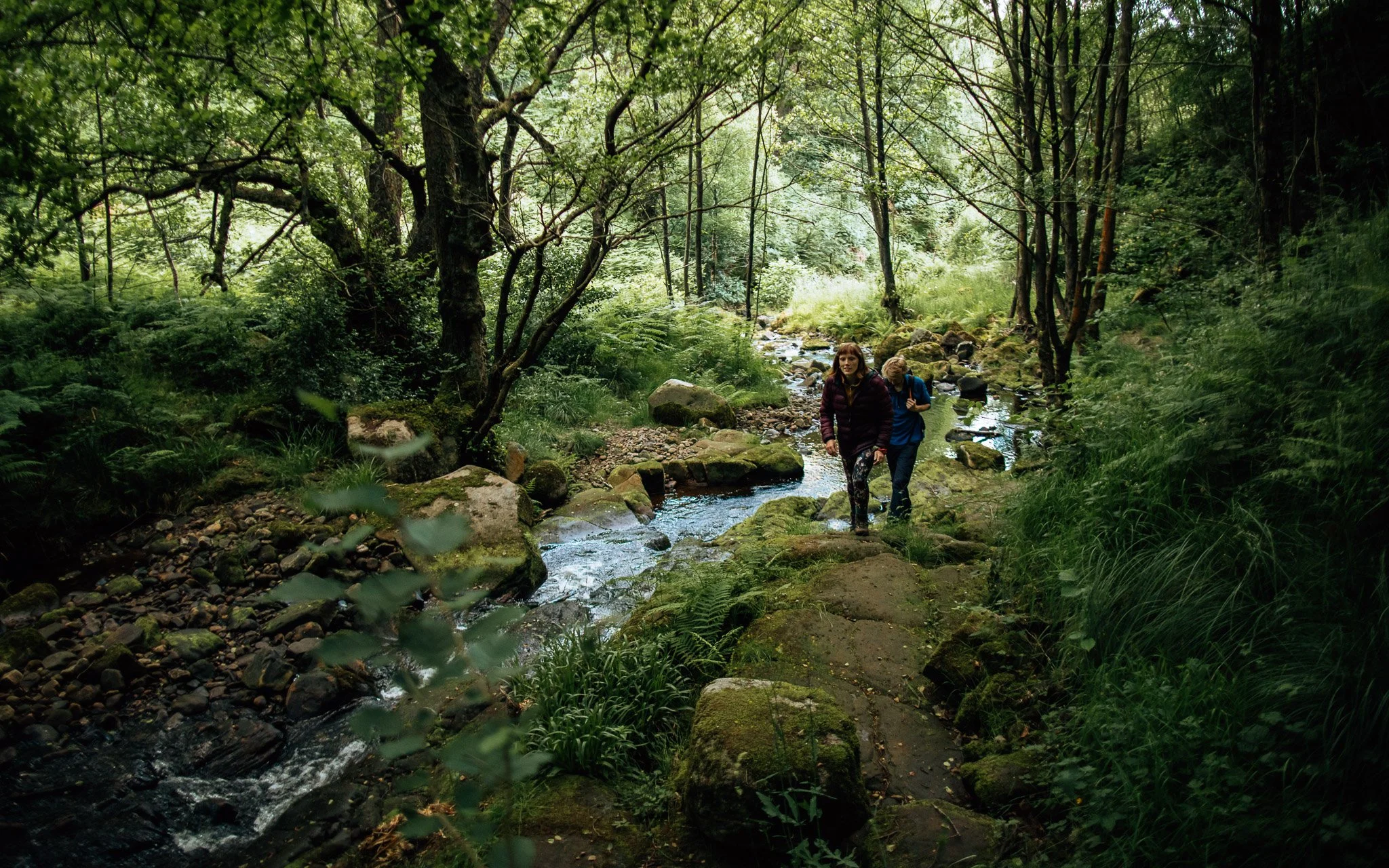  walkers in Yorkshire Dales