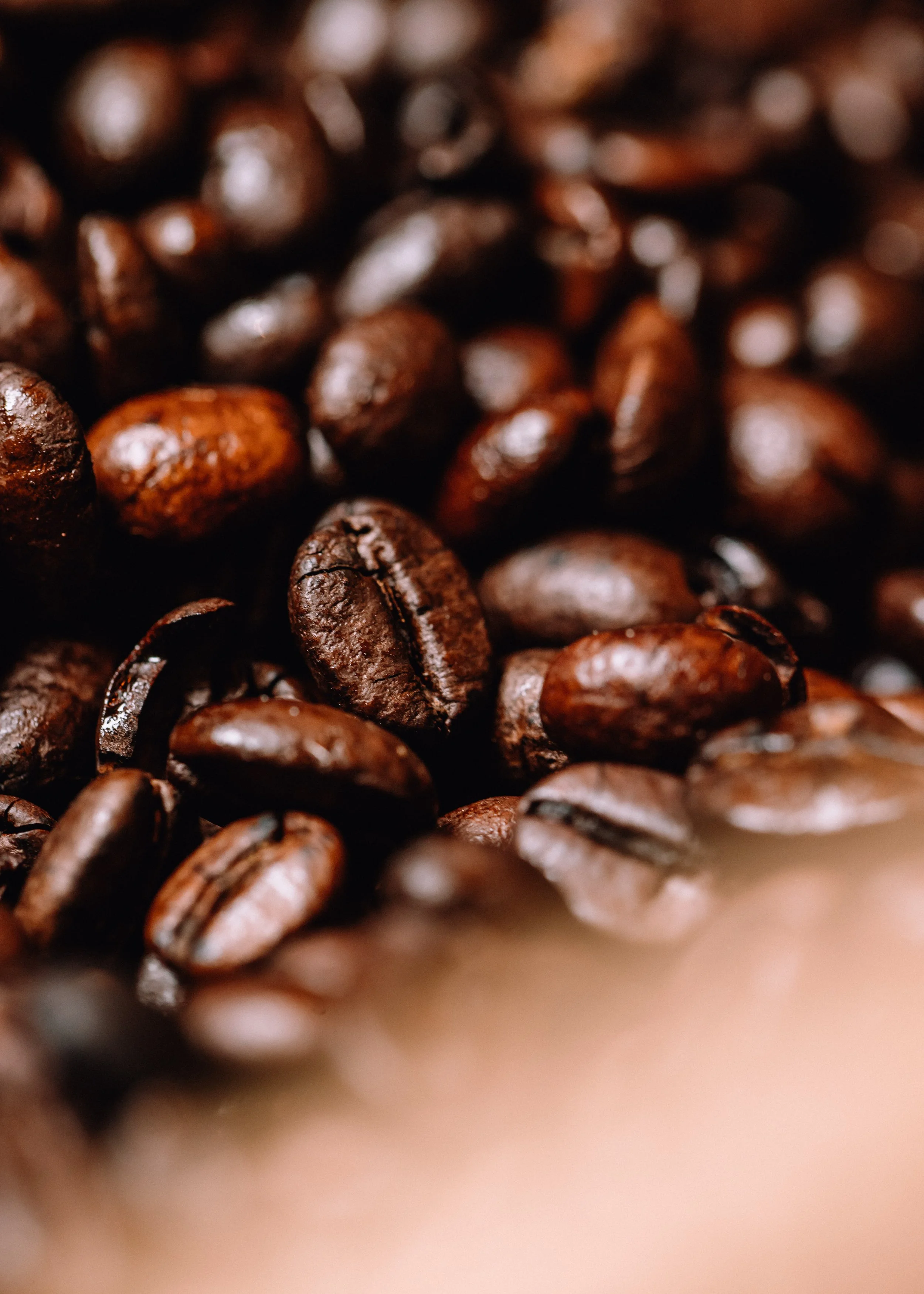 Coffee bean detail