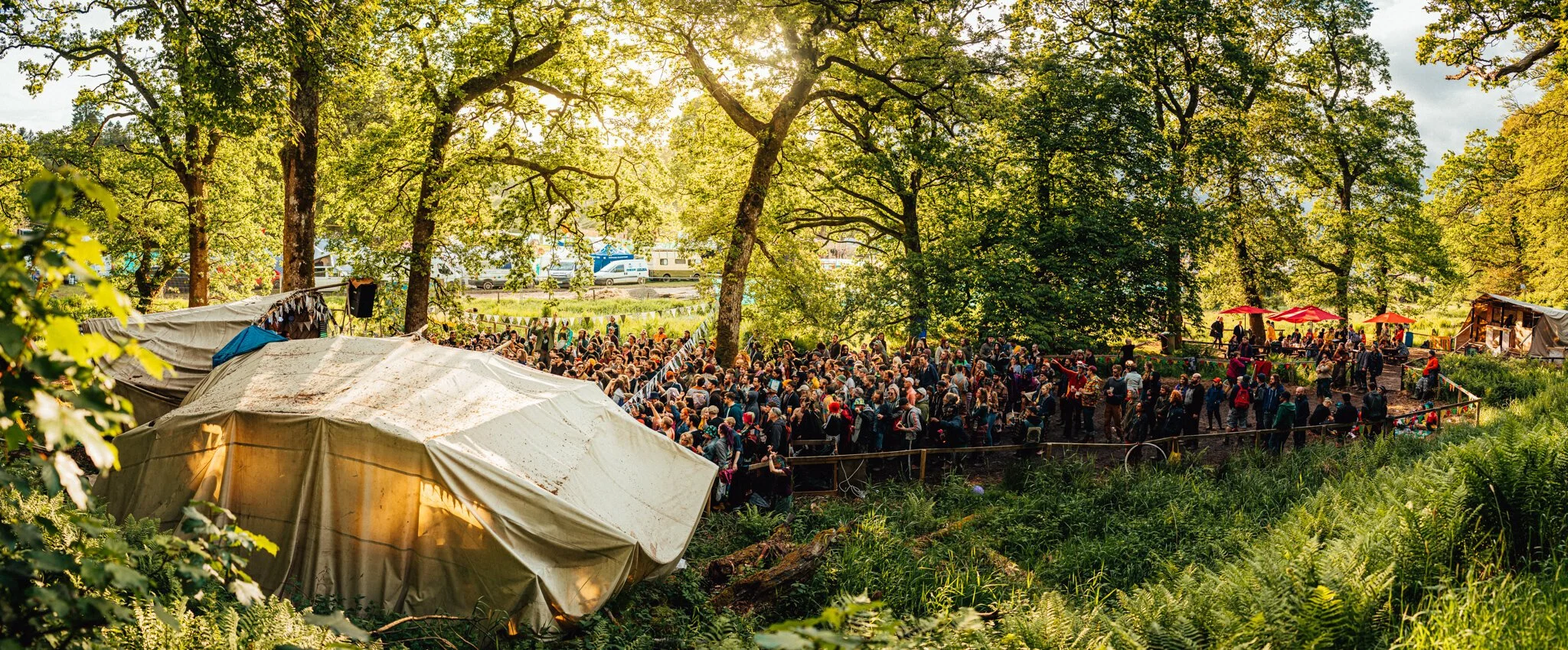  aykroyd watch a band amongst the trees at a festival