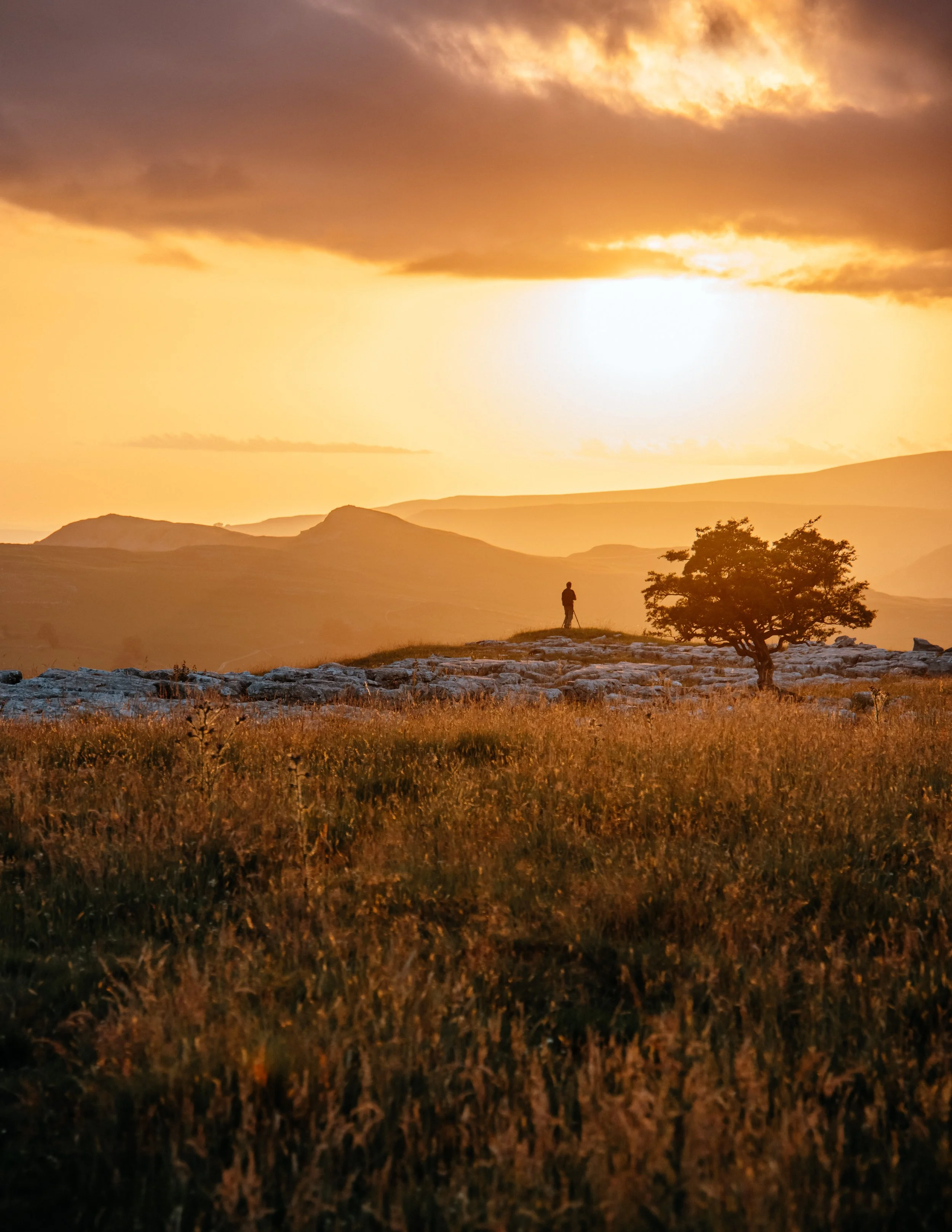  Man, standing sunset