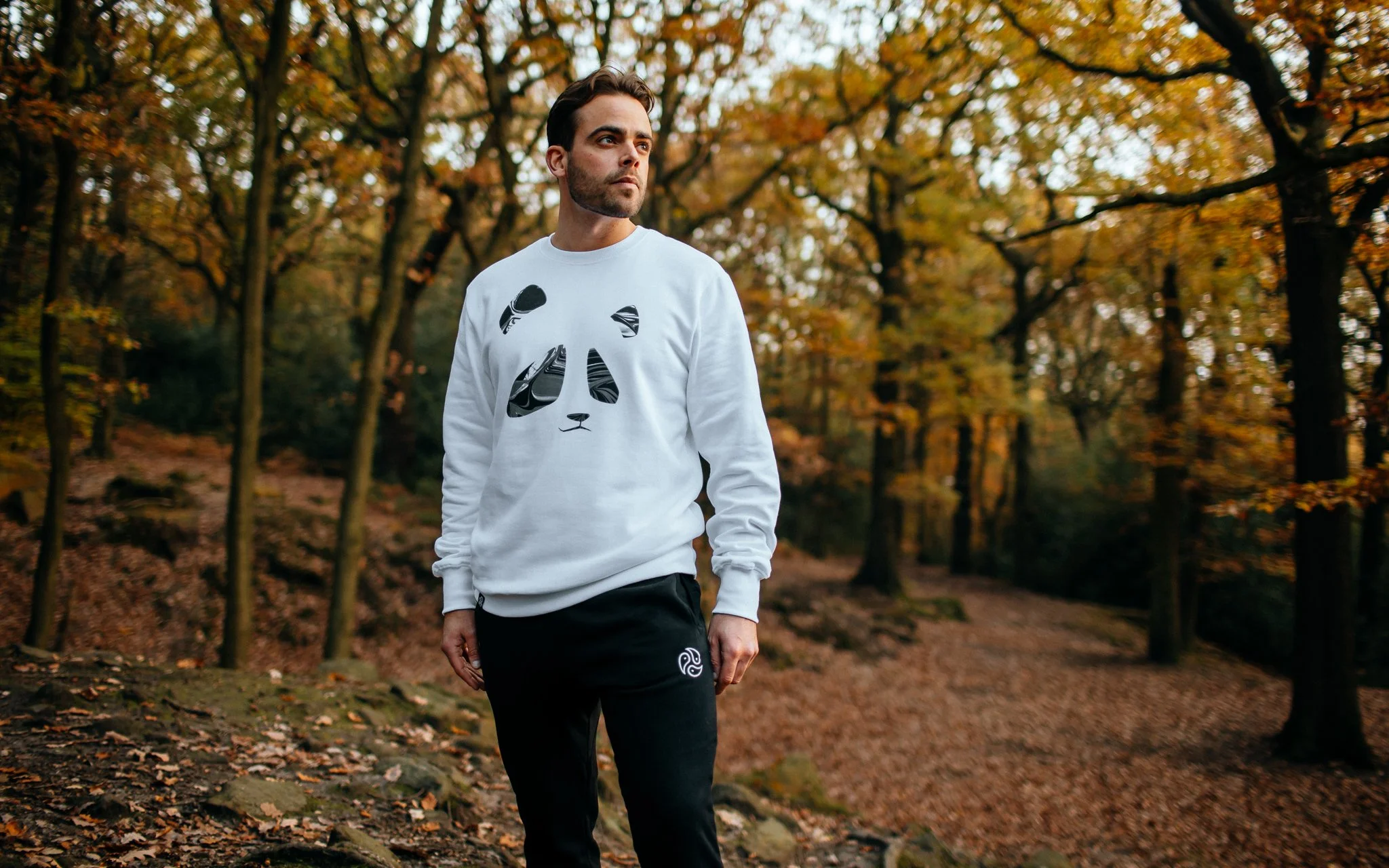  in autumn Woods