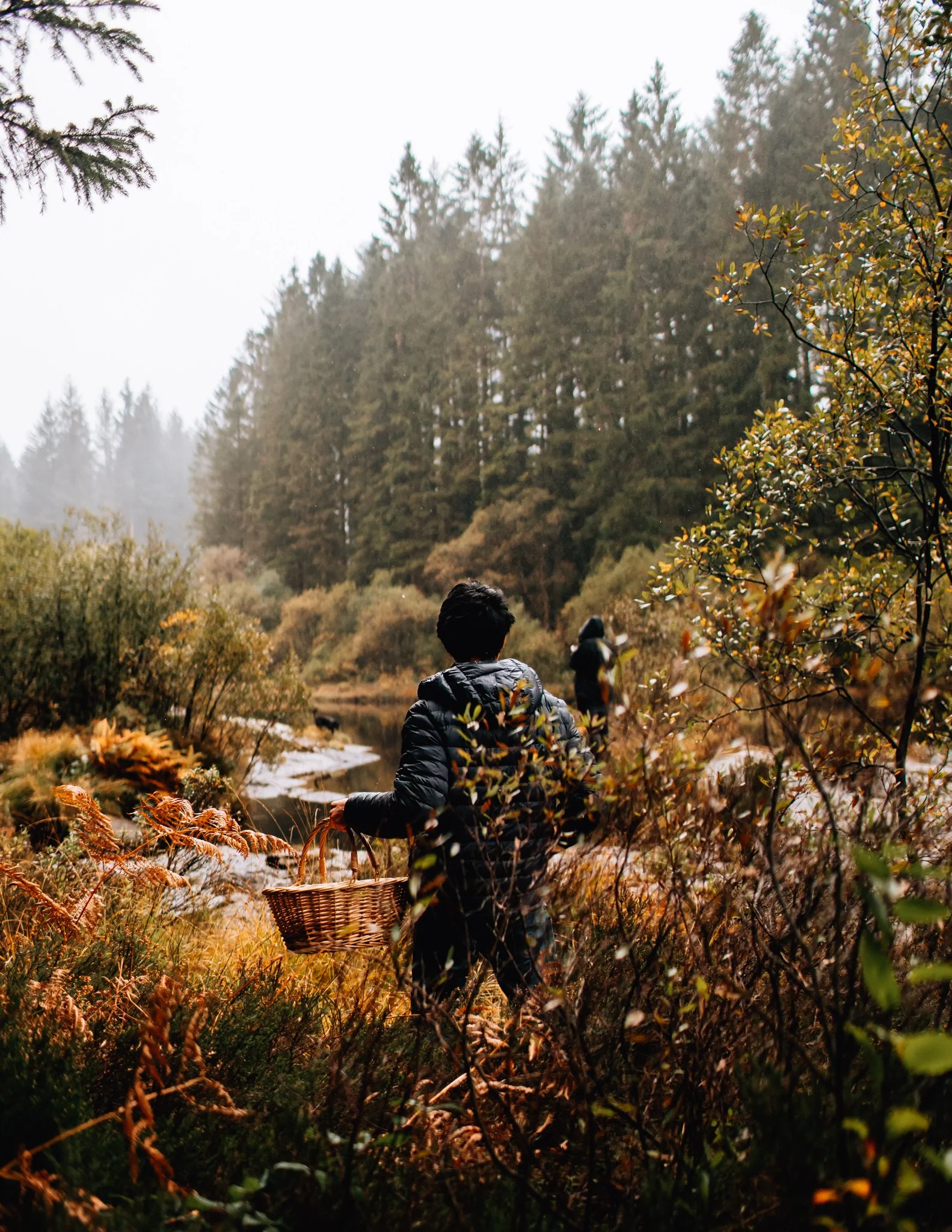 Foraging foraging in Dumfries and Galloway