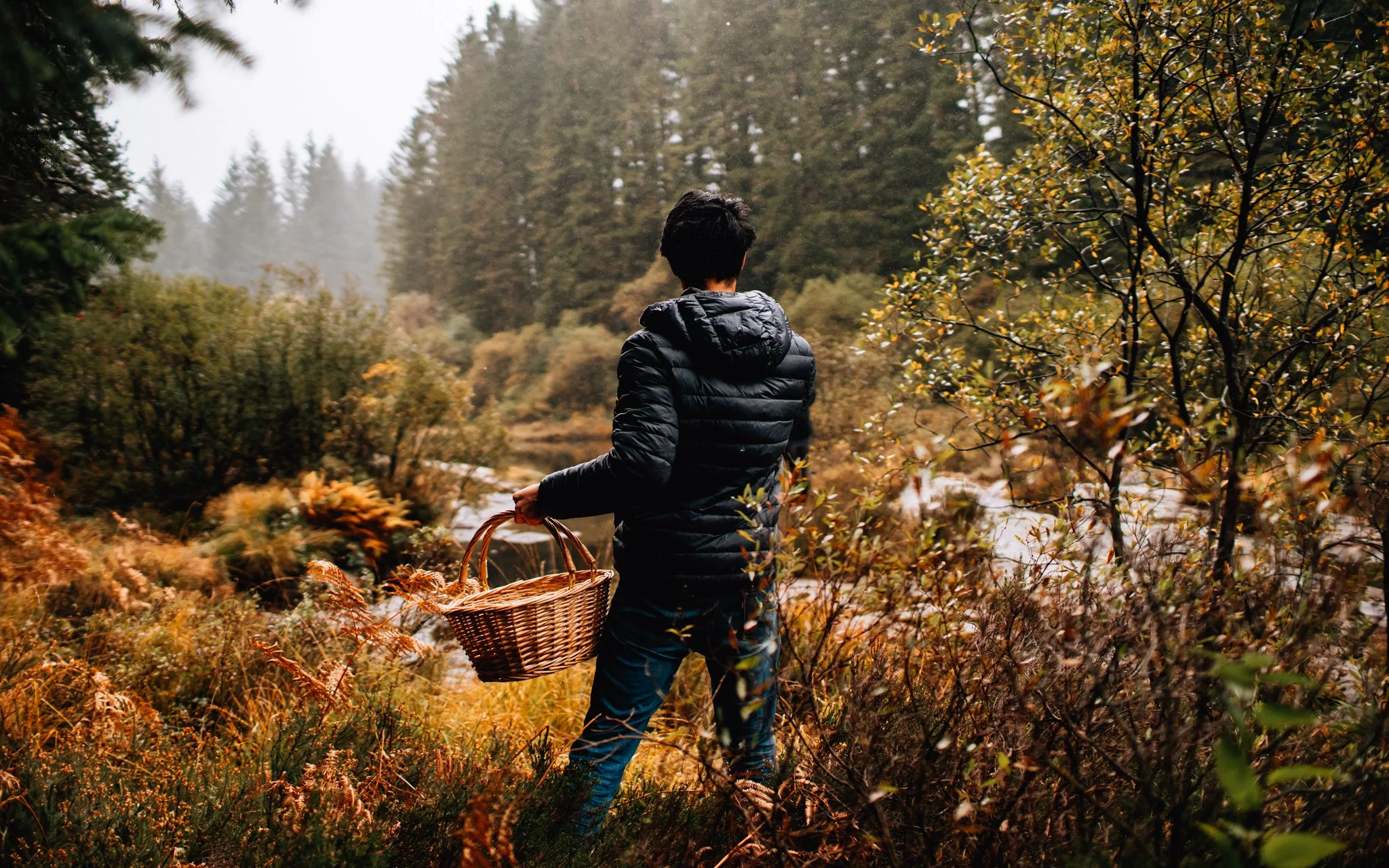  forager walks among the bushes