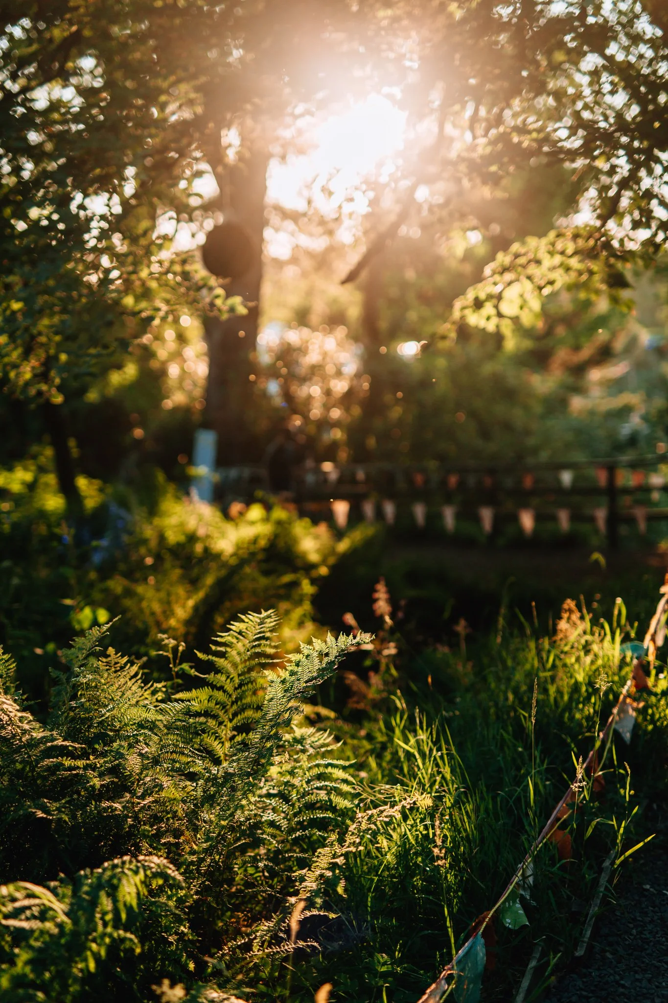  beautiful woodland and decor at a music festival in the UK