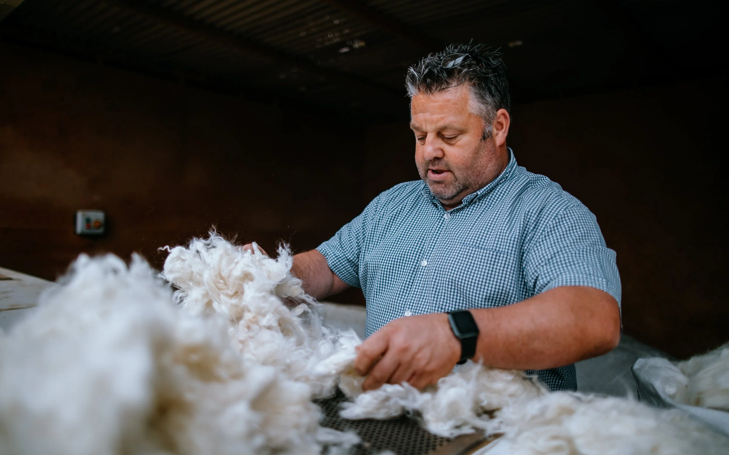 Man sort through cashmere wool