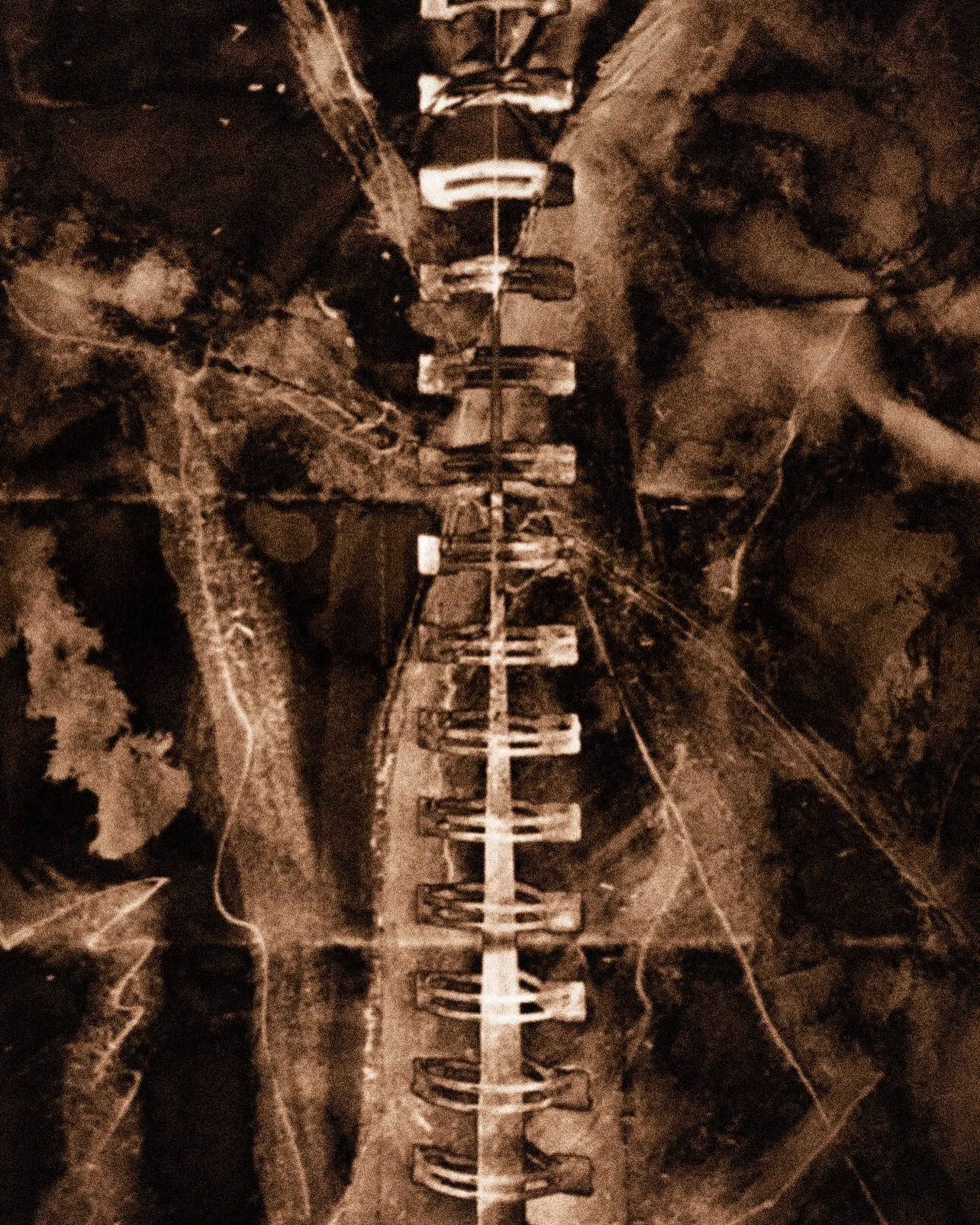 "Spinal chord" 2018. Coffee/Café, Digital remix/Remix numérique. Not available for sale.
