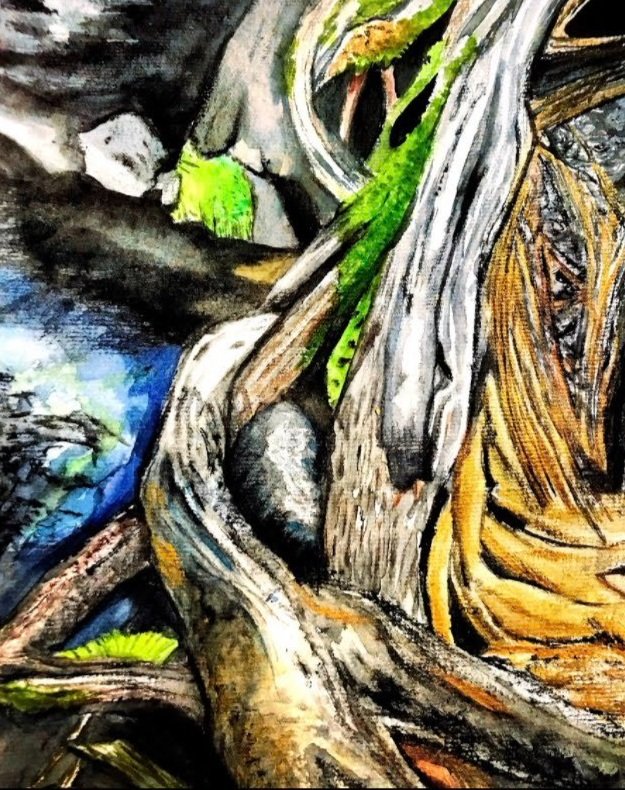 Tangled+Roots+2019+Watercolour+Landscape+Paysage+Aquarelle.jpg