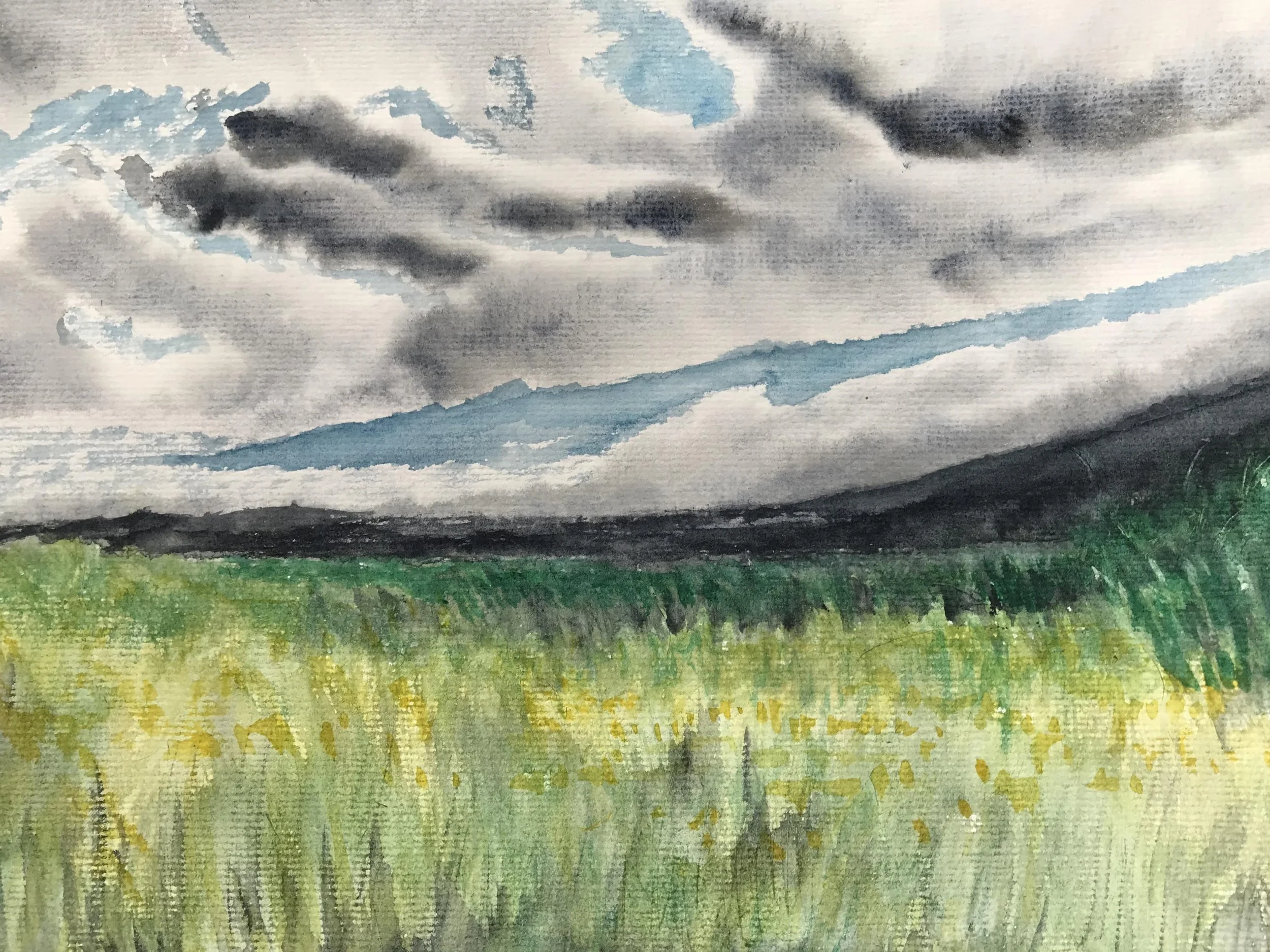 "Croatian fields" Available for sale. 120€ 
