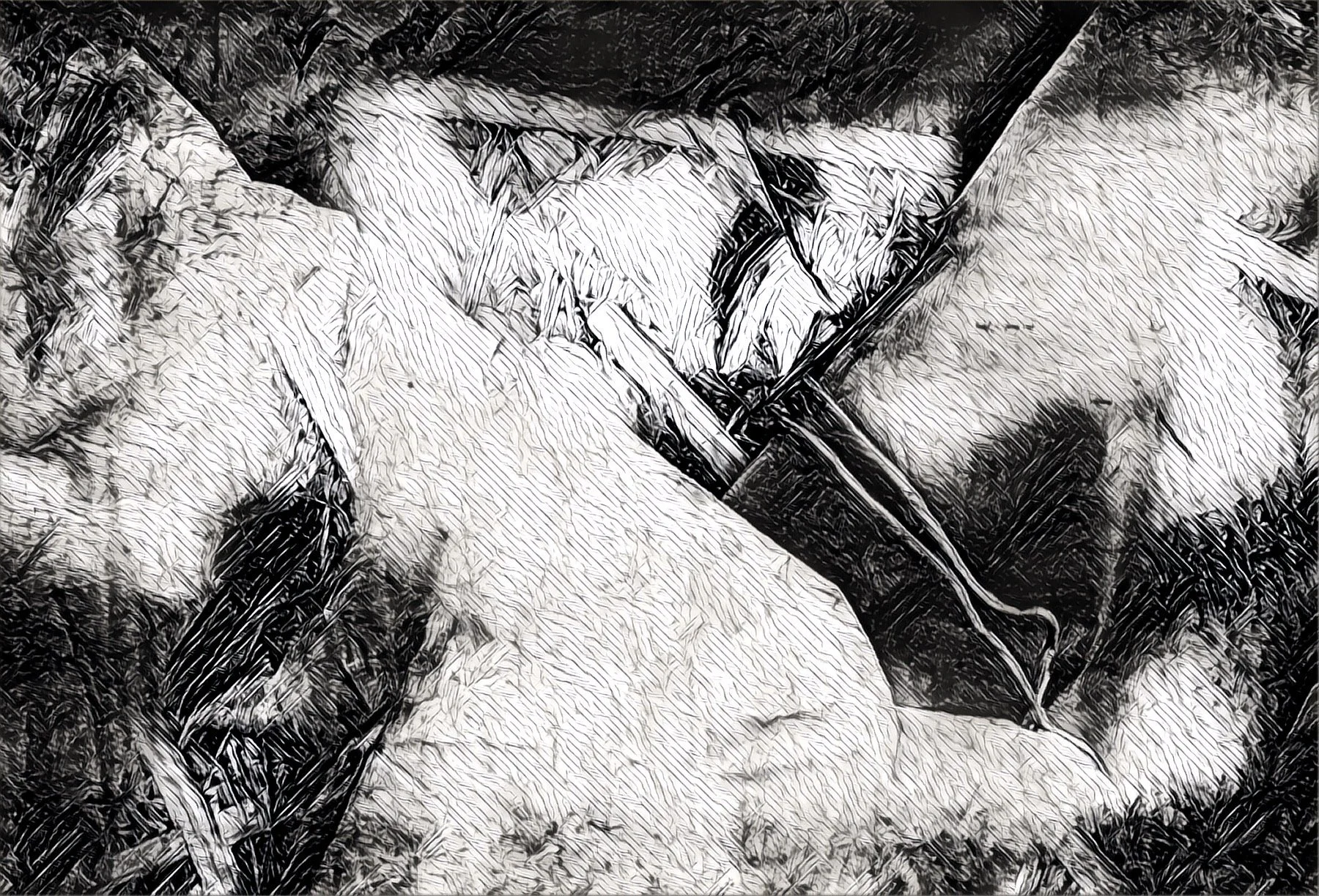 "Dépouille." 2020. Soon available for sale 40€.