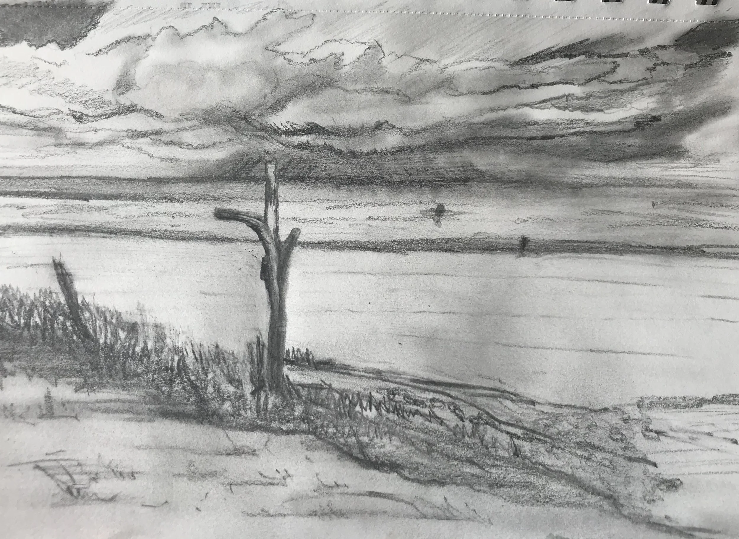 "Skeleton tree." No longer available for sale.