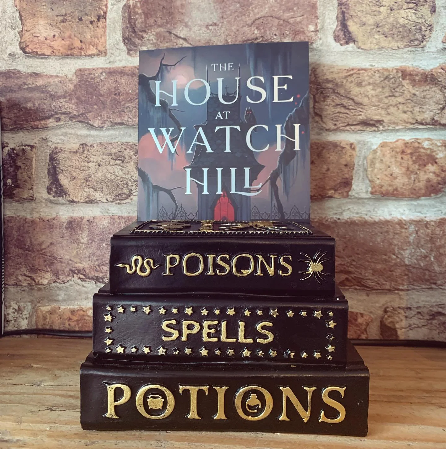 The House at Watch Hill by Karen Marie Moning is the first book in an explosive and seductive paranormal romance trilogy that has all the spooky and witchy feels. 

Featuring an unexpected inheritance, a haunted house, sinister red-eyed owl, and a ca