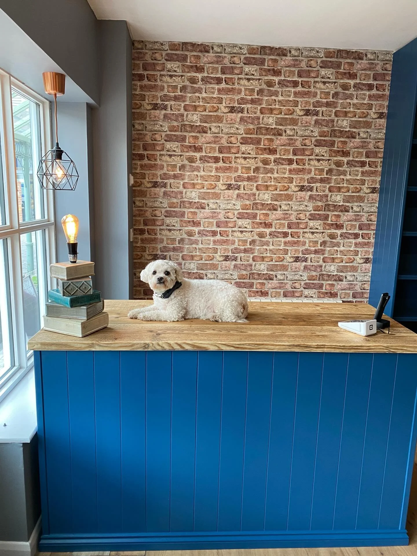 We are very sorry to announce that shop dog Willow has sadly gone over the rainbow bridge 🌈

Over the last month or so, she&rsquo;s has been very poorly - but incredibly brave and saying goodbye was what was best for her. 

Despite not actually bein