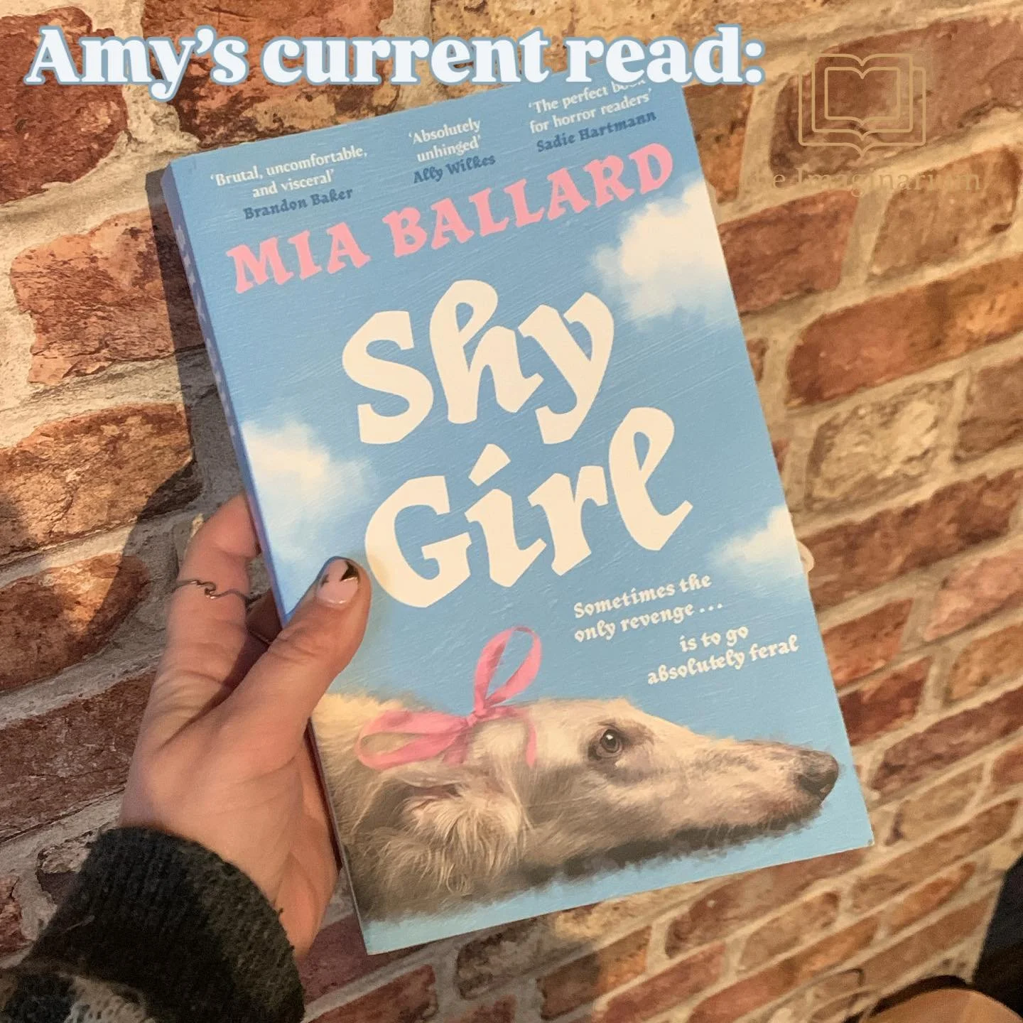 🎀 This cute-as-a-button-looking book (Shy Girl by Mia Ballard) is in fact from our horror section! 🎀

I&rsquo;m half way through and really enjoying this - if the thought of captivity and loss of control are the things that scare you, this will be 