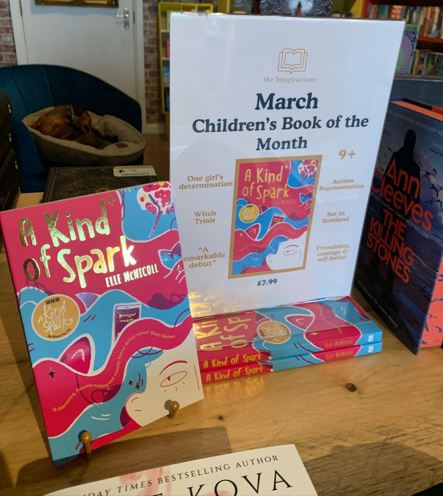 A new month can only mean one thing&hellip;. 

Time for the next &bull; CHILDREN&rsquo;S BOOK OF THE MONTH &bull; 🎉 

This month we have chosen ✨A KIND OF SPARK✨by @ellemcnicollofficial 

It tells the story of 11 year old Addie, campaigning for a me