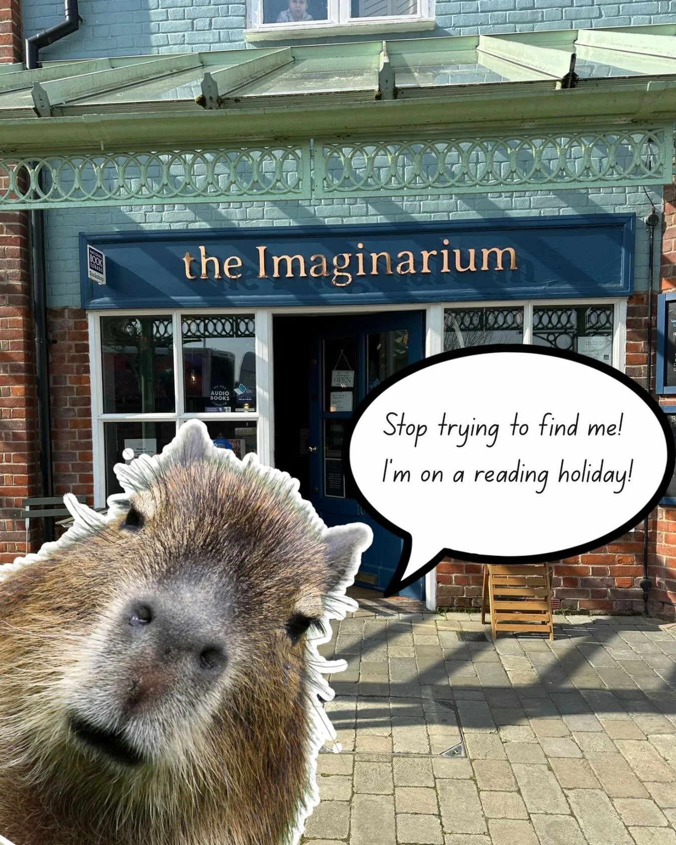 Absolutely outrageous that in this day and age, an independent capybara can&rsquo;t take a reading retreat without a full on capybara hunt! 

Let her read in peace!*

*obviously this is a joke, if you do see her, make sure you report it to Marwell Zo