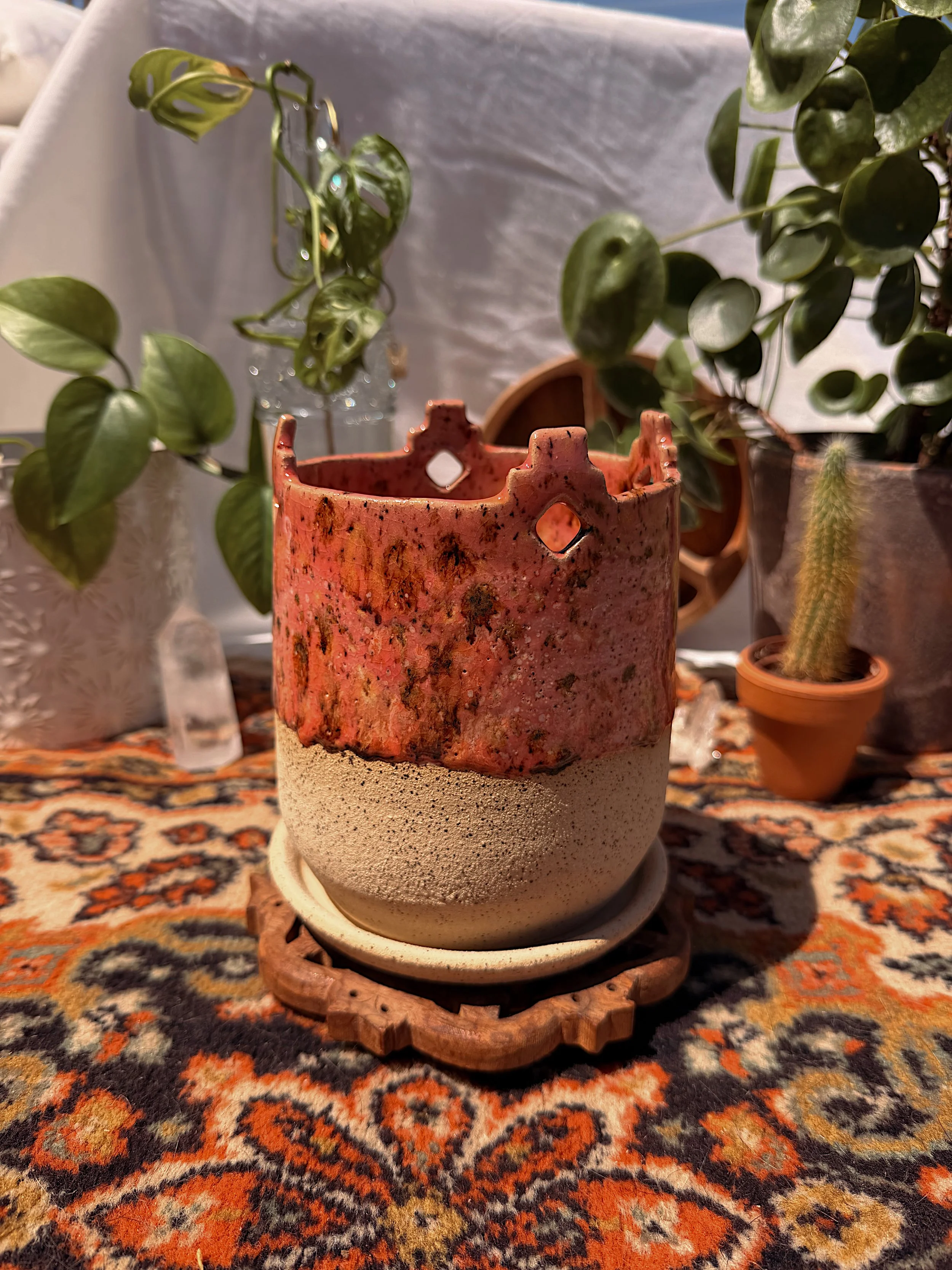 Cactus Blossom Planter