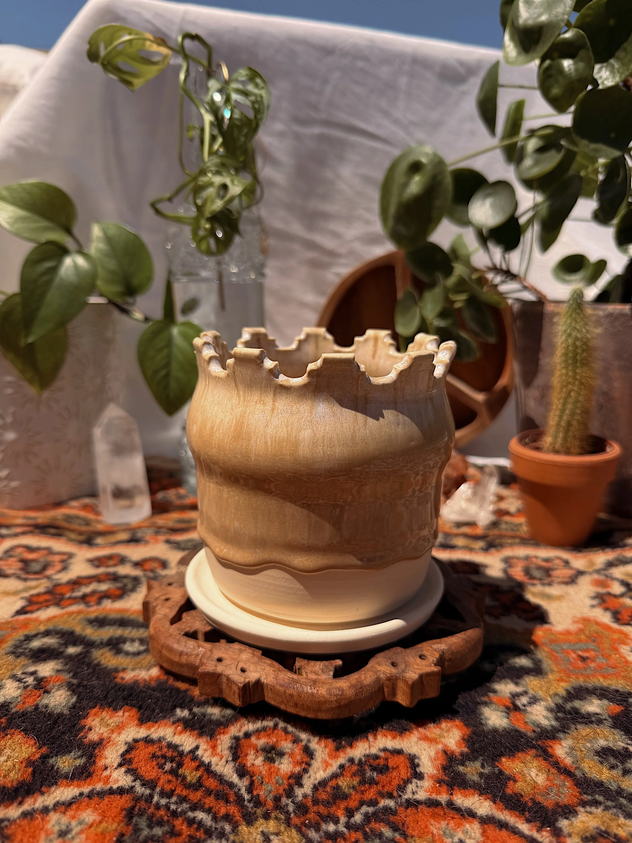 Desert Honey Planter