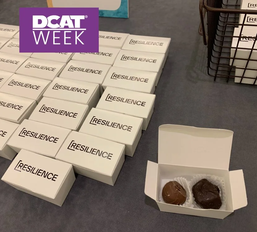 Chocolate Boxes