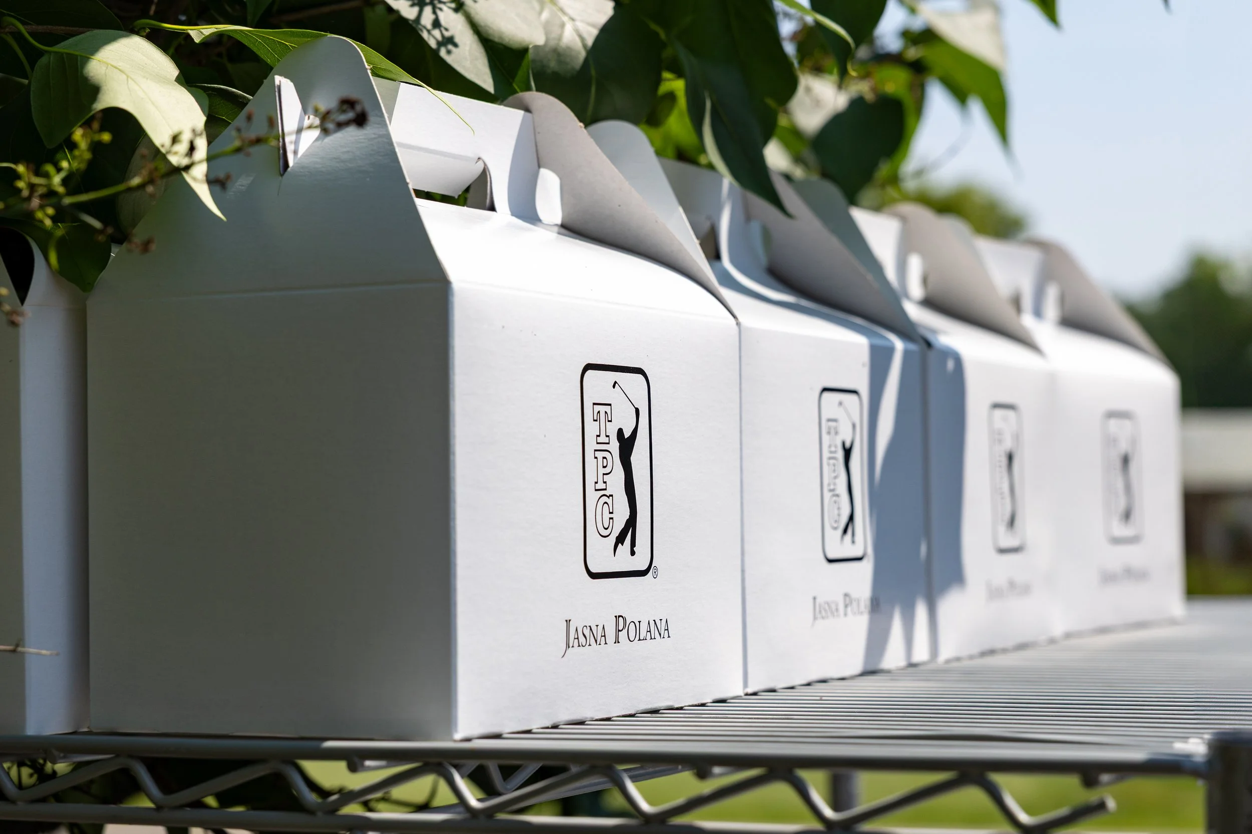 Box Lunches.jpg