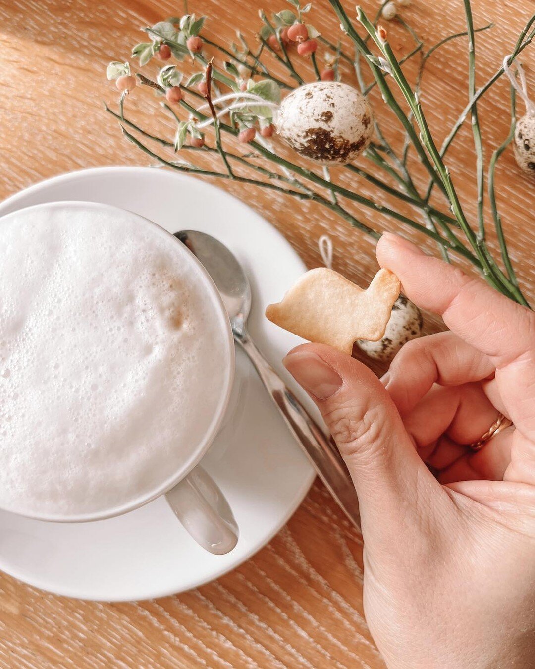 Ein Platz in der Sonne - dazu ein Cappuccino und ein gro&szlig;es St&uuml;ck vom hausgemachten Apfelkuchen mit Rumteig. Oder einfach dein Lieblingseis im Waffelh&ouml;rnchen auf die Hand!

👉T&auml;glich von 11 bis 17.30 Uhr. Nat&uuml;rlich auch an d