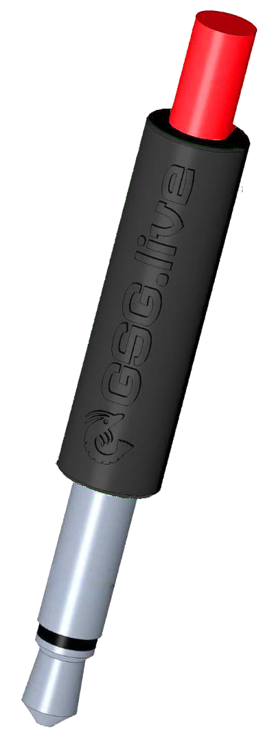 GSG%2BCa (Copy)