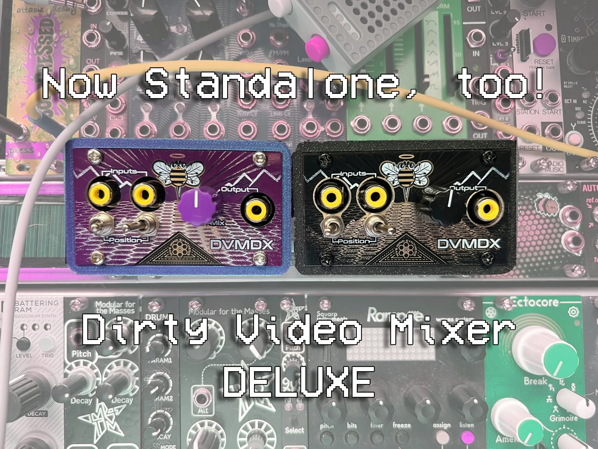 DVMDX.jpg