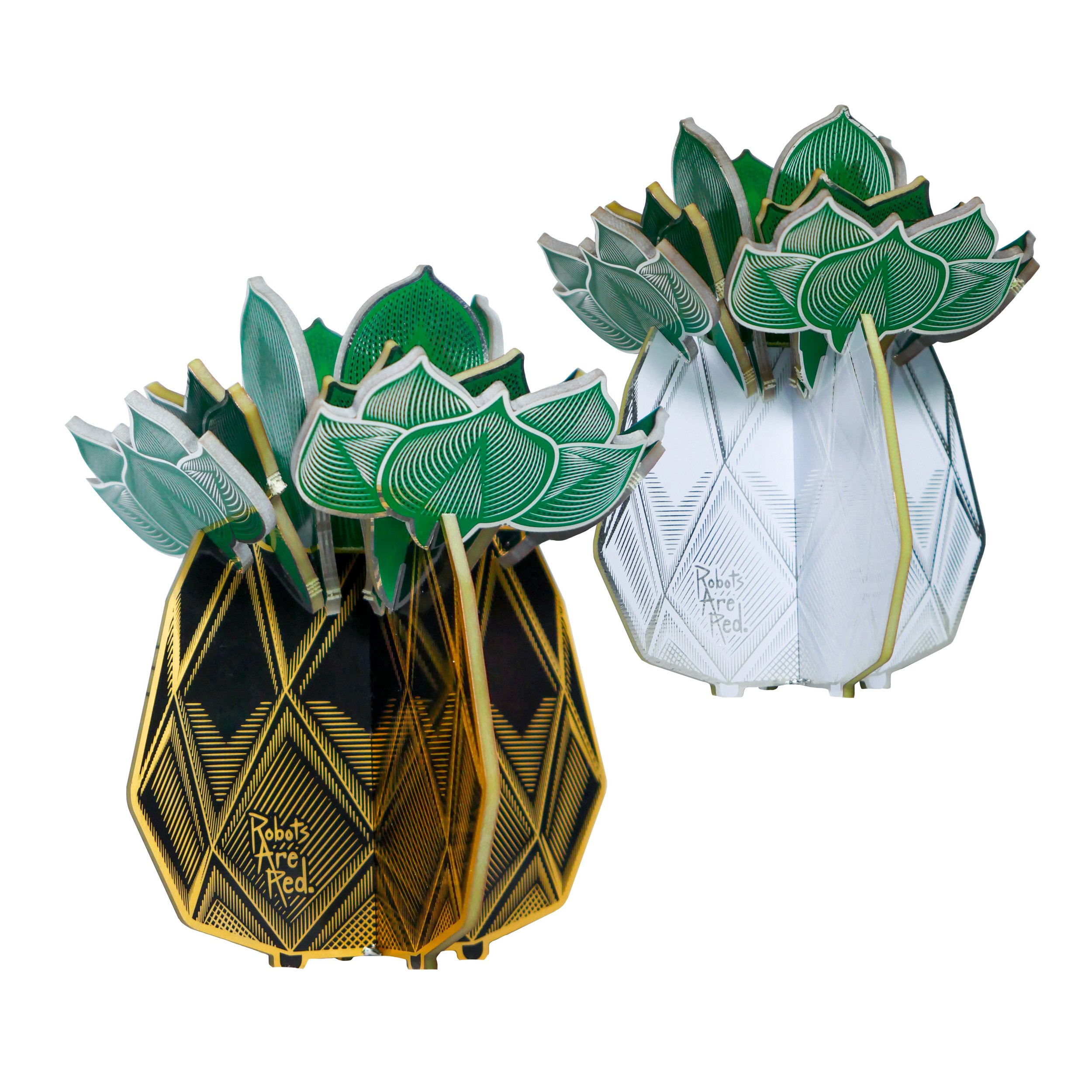 RAR Succulent Photos 01 Hero Both.jpg
