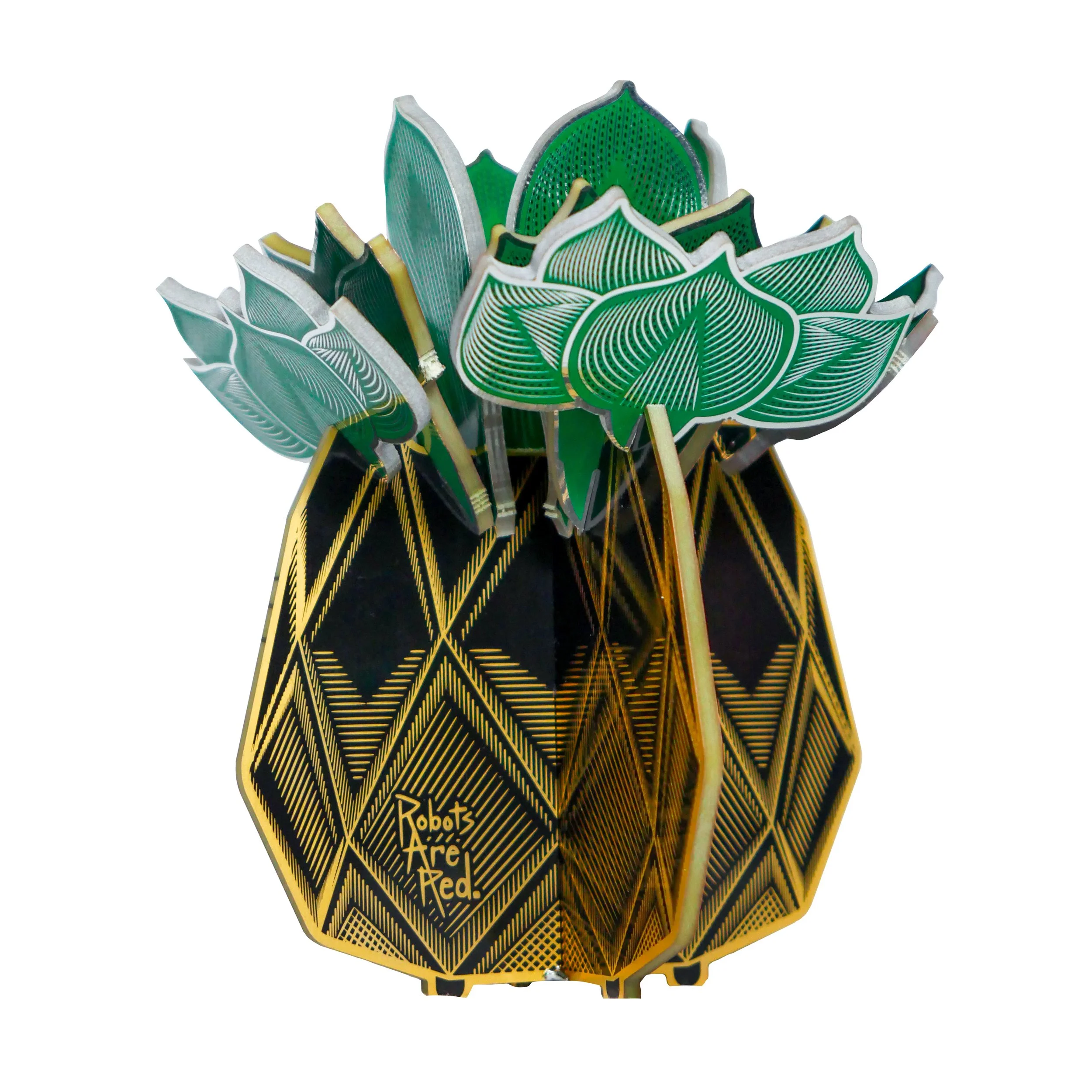 RAR Succulent Photos 01 Hero Black.jpg