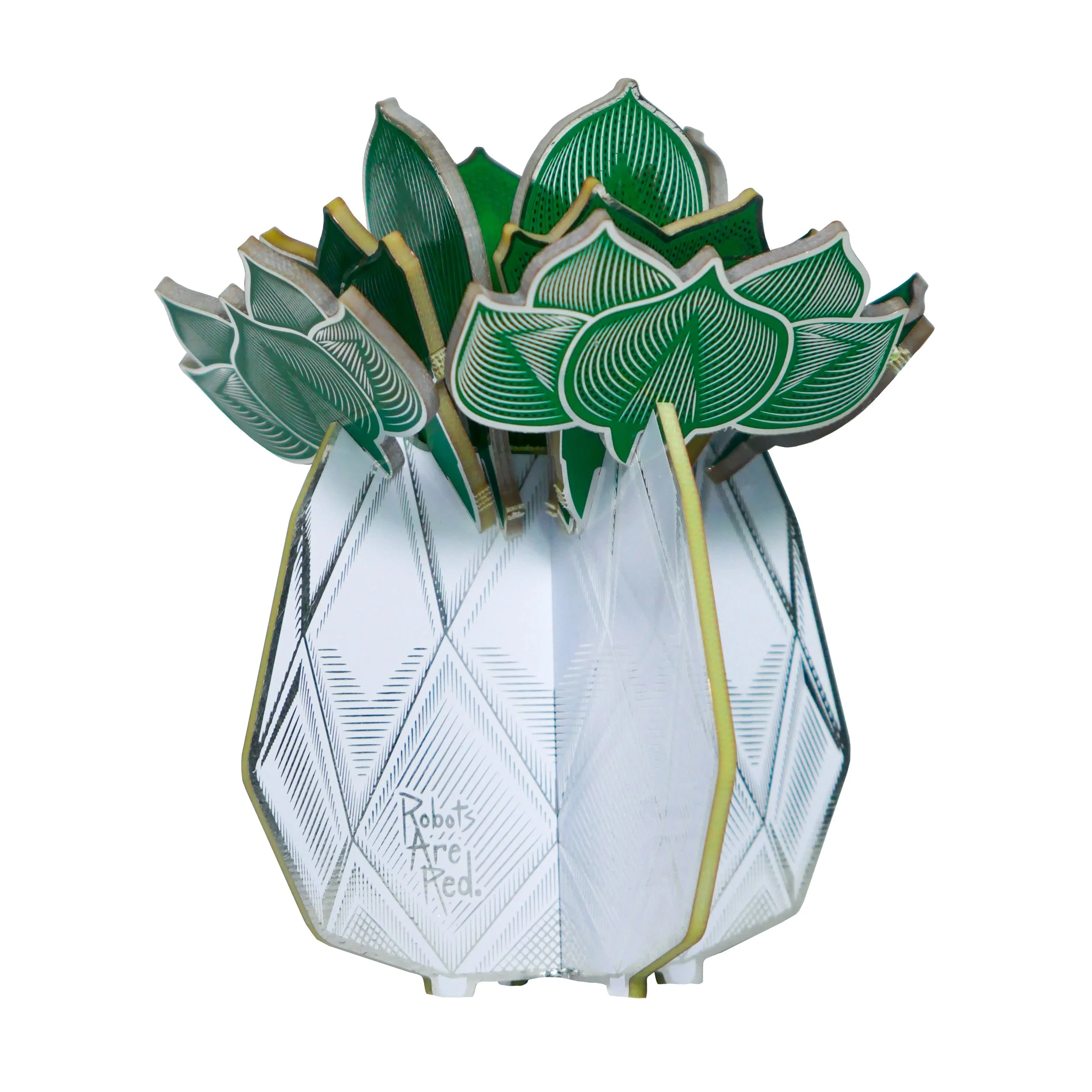RAR Succulent Photos 01 Hero White.jpg