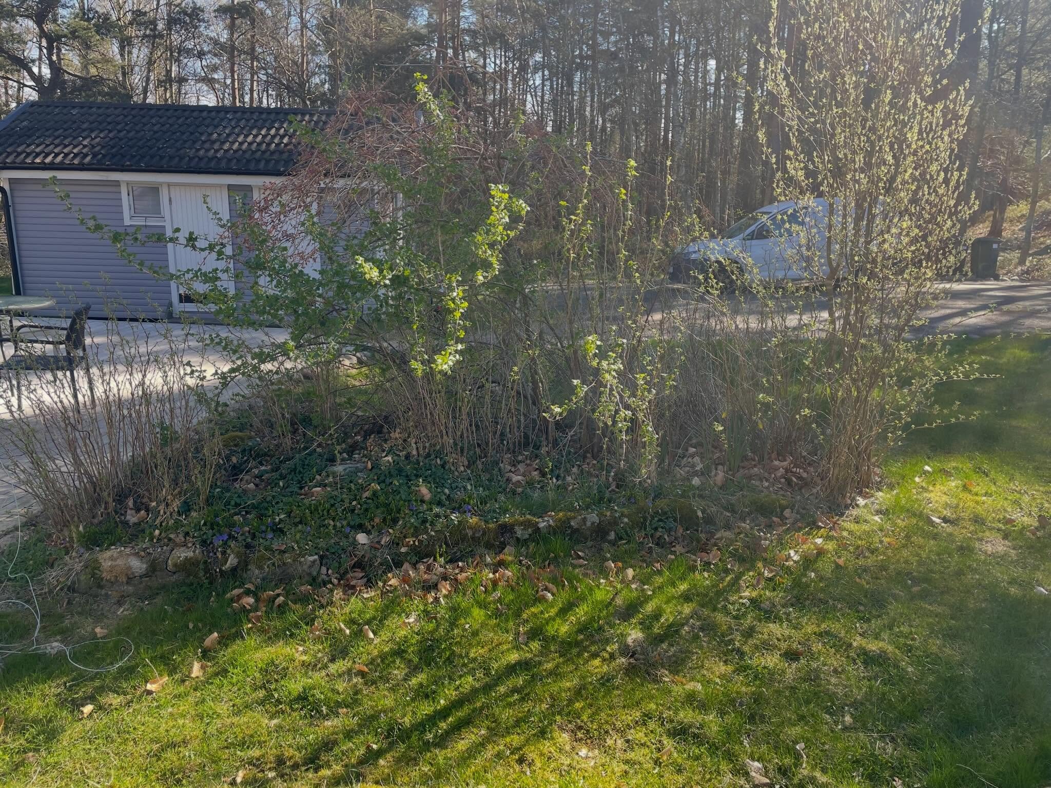Det fanns en rabatt under ogr&auml;set 🥳 Att f&aring; fixa i ordning rabatter som dessa kan vara n&aring;got av det roligaste!