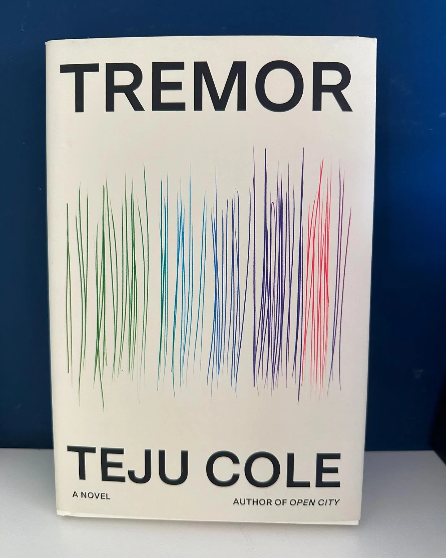 Ooh! We love books as gifts. I got this from my cousin and am looking forward to reading it.
Have you read it?
#book #bookstagram #newbook #tbr #tbrpile
