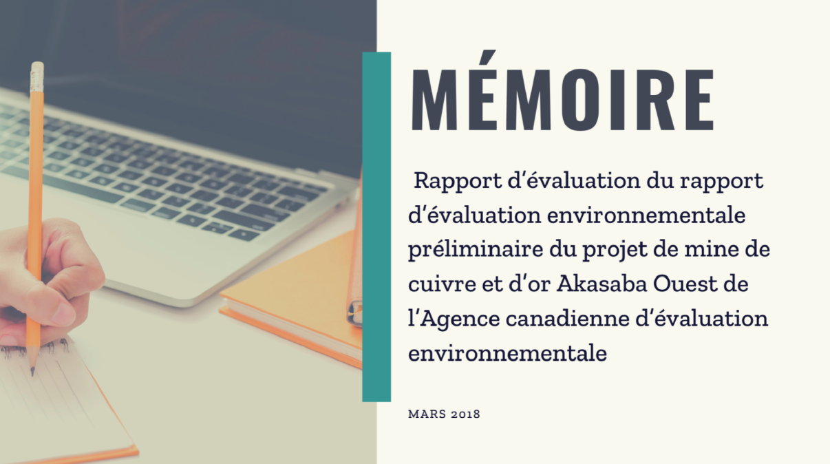 Rapport d’évaluation du rapport d’évaluation environnementale préliminaire du projet de mine de cuivre et d’or Akasaba Ouest