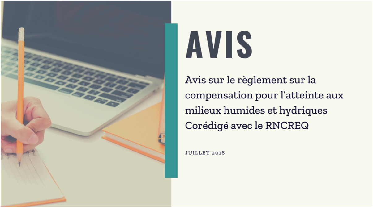 Avis sur le règlement sur la compensation pour l’atteinte aux milieux humides et hydriques