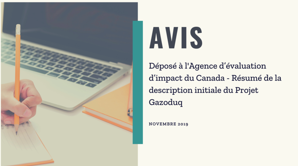 Résumé de la description initiale - Projet Gazoduq