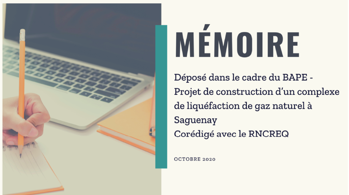 Projet de construction d’un complexe de liquéfaction de gaz naturel à Saguenay 